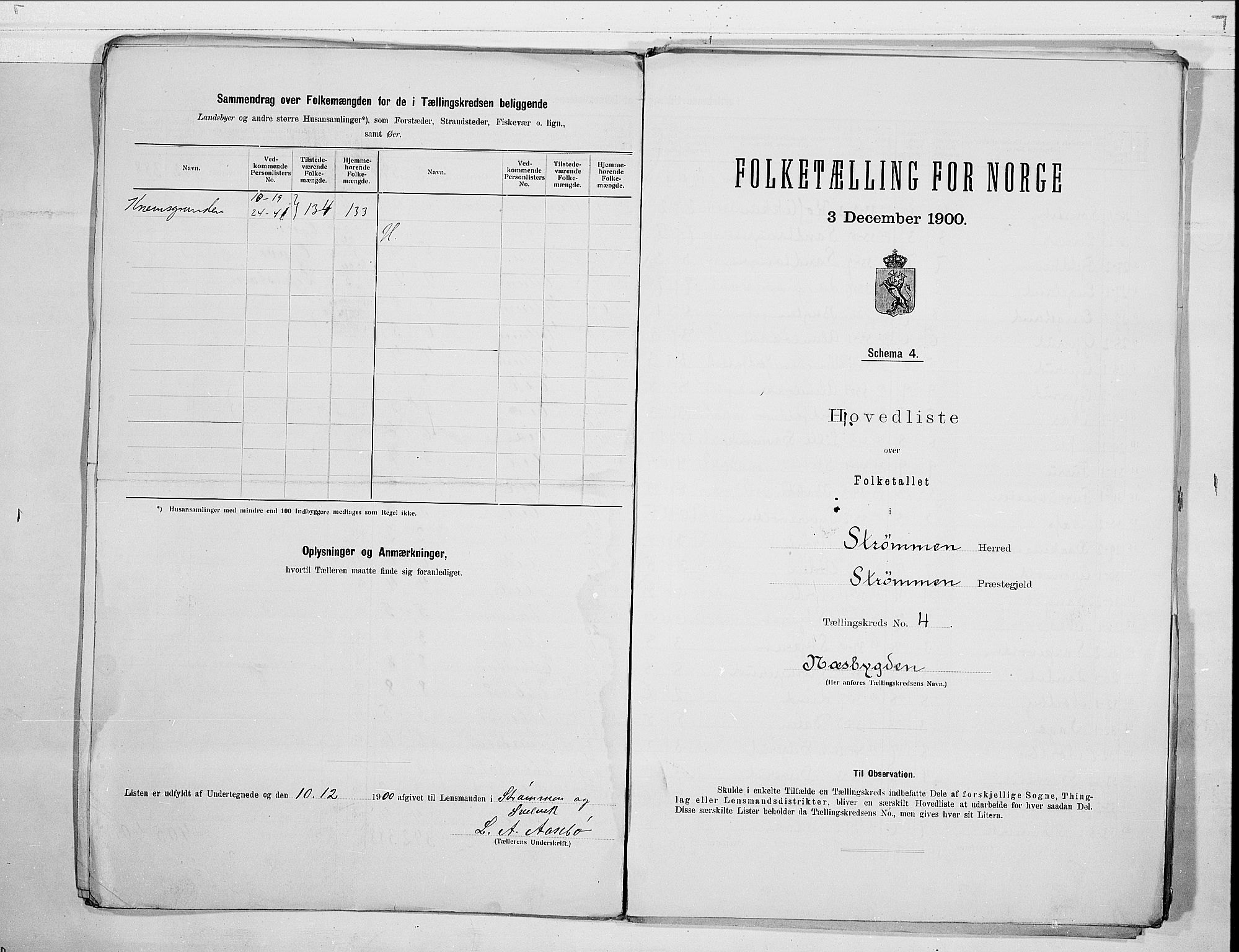 RA, 1900 census for Strømm, 1900, p. 10