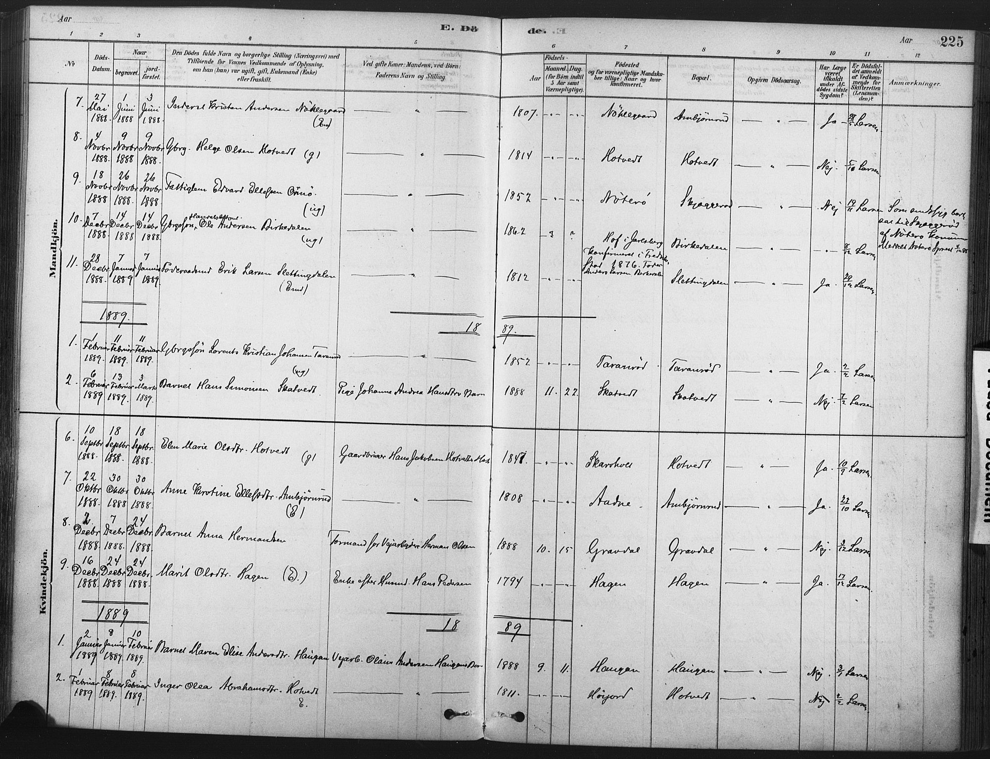 Andebu kirkebøker, AV/SAKO-A-336/F/Fa/L0007: Parish register (official) no. 7, 1878-1899, p. 225