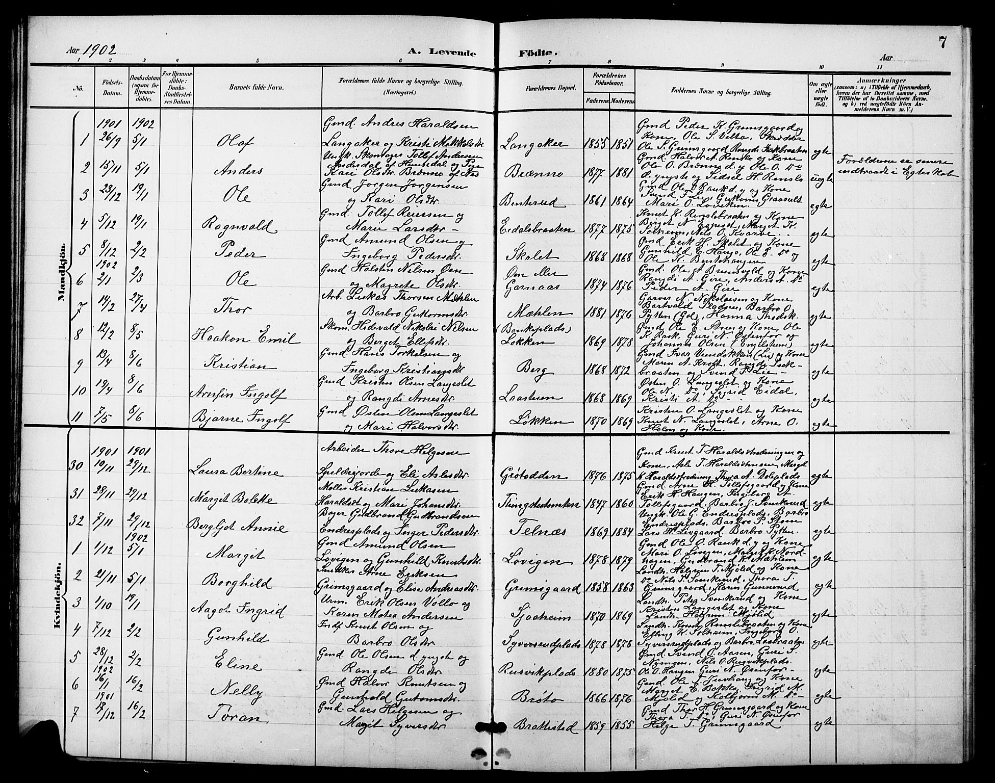 Nes kirkebøker, SAKO/A-236/G/Ga/L0004: Parish register (copy) no. I 4, 1900-1925, p. 7