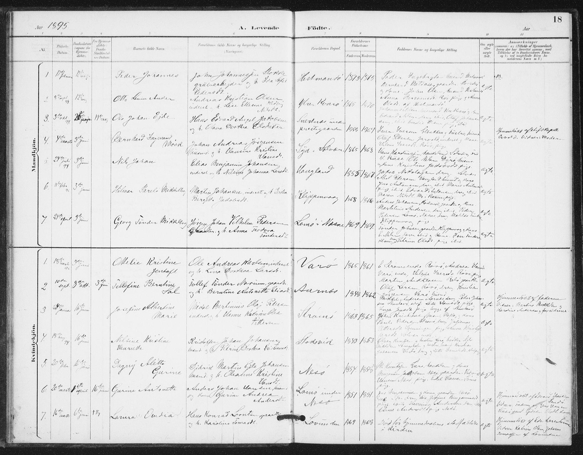 Ministerialprotokoller, klokkerbøker og fødselsregistre - Nordland, AV/SAT-A-1459/839/L0573: Parish register (copy) no. 839C03, 1892-1917, p. 18