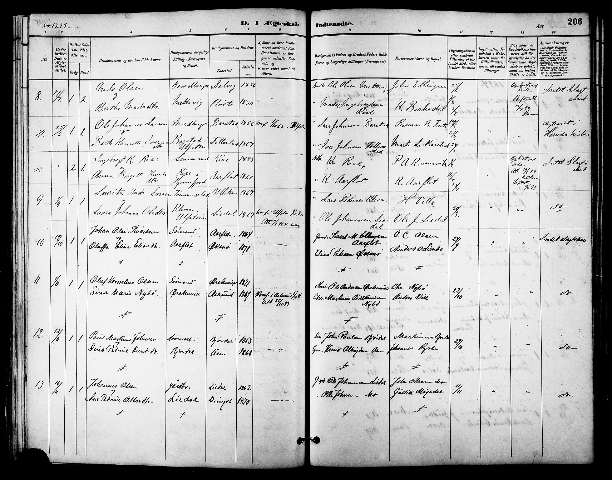 Ministerialprotokoller, klokkerbøker og fødselsregistre - Møre og Romsdal, AV/SAT-A-1454/513/L0189: Parish register (copy) no. 513C03, 1883-1904, p. 206