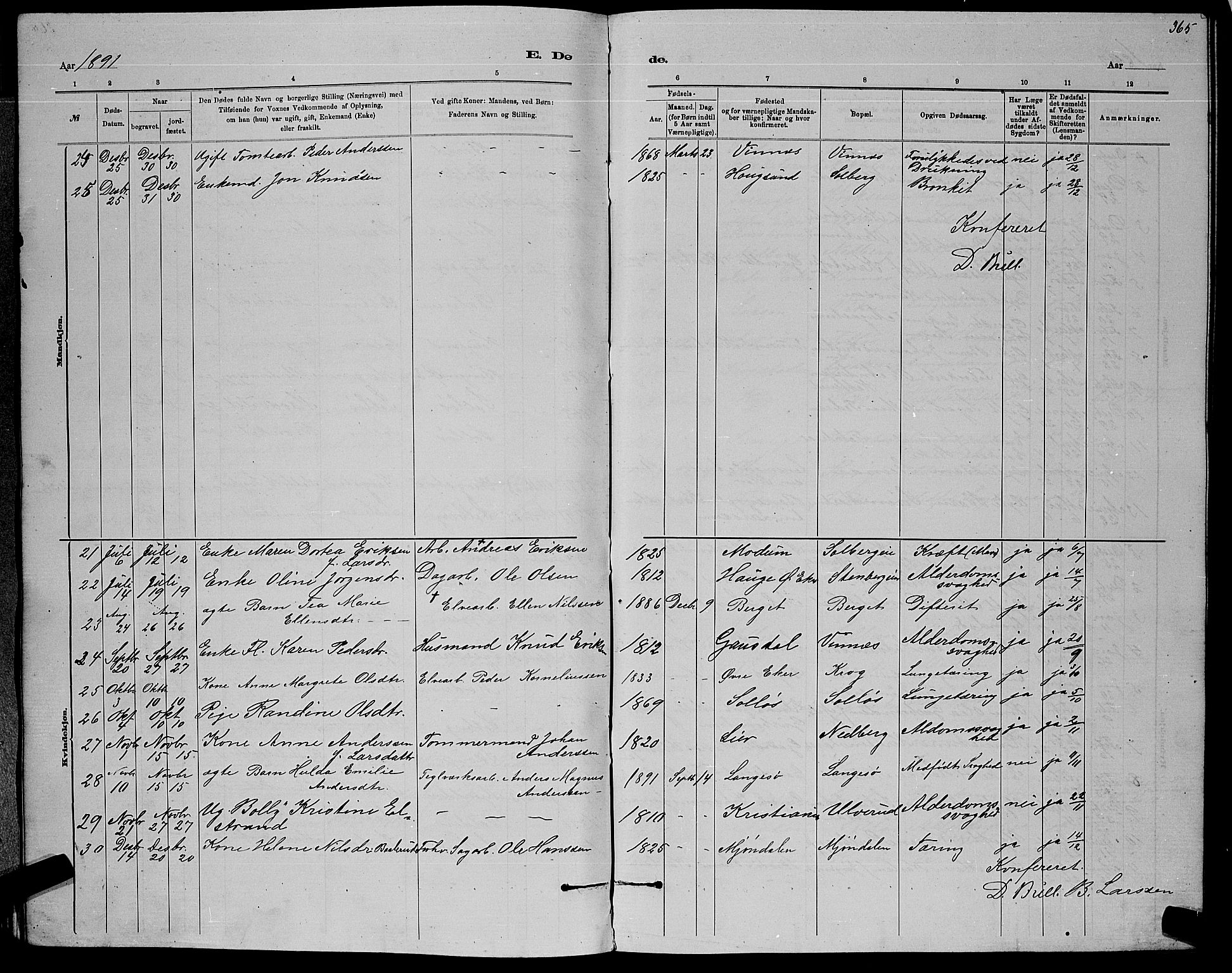 Nedre Eiker kirkebøker, AV/SAKO-A-612/G/Ga/L0002: Parish register (copy) no. 2, 1880-1896, p. 365