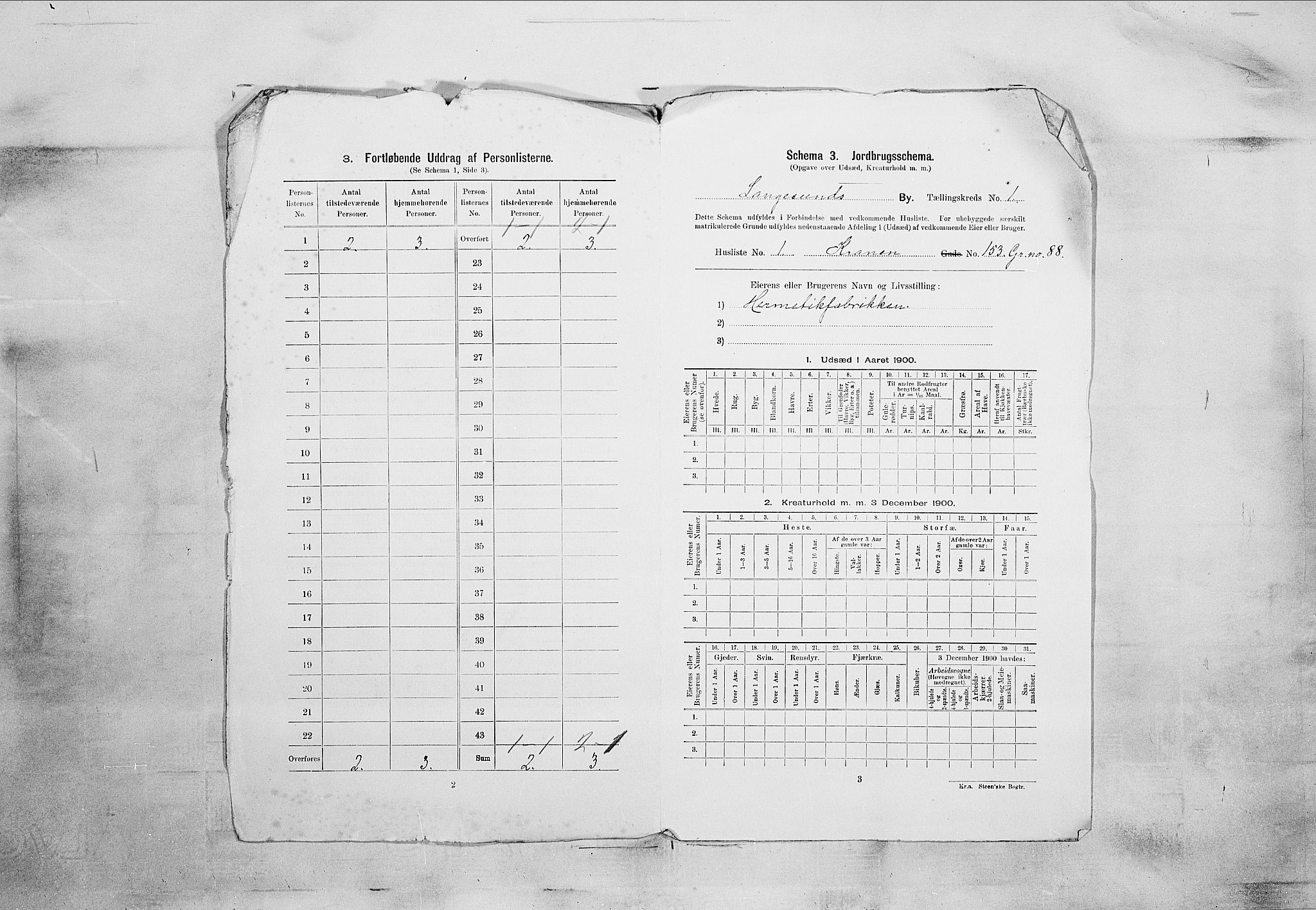 SAKO, 1900 census for Langesund, 1900, p. 15