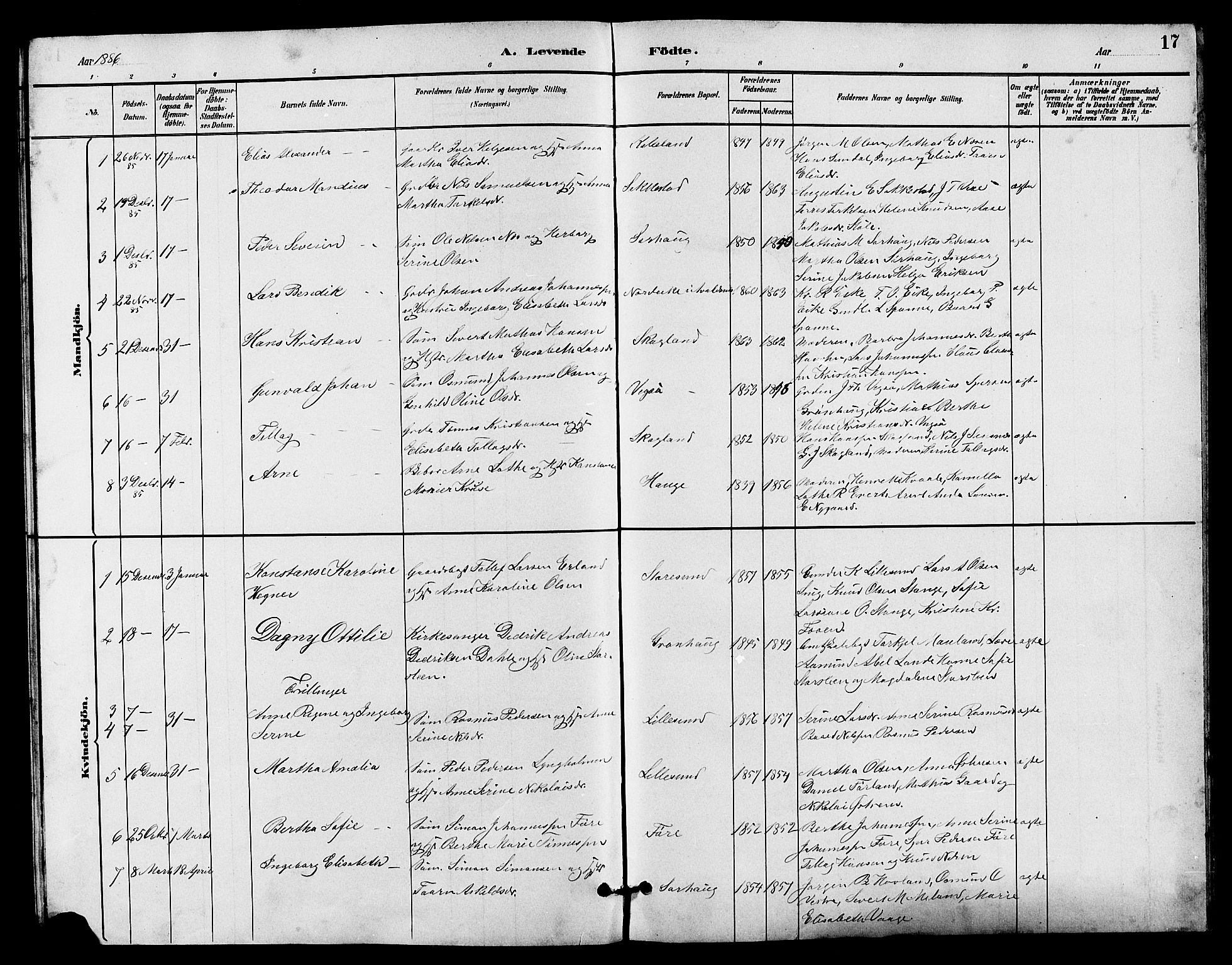 Haugesund sokneprestkontor, AV/SAST-A -101863/H/Ha/Hab/L0003: Parish register (copy) no. B 3, 1882-1889, p. 17