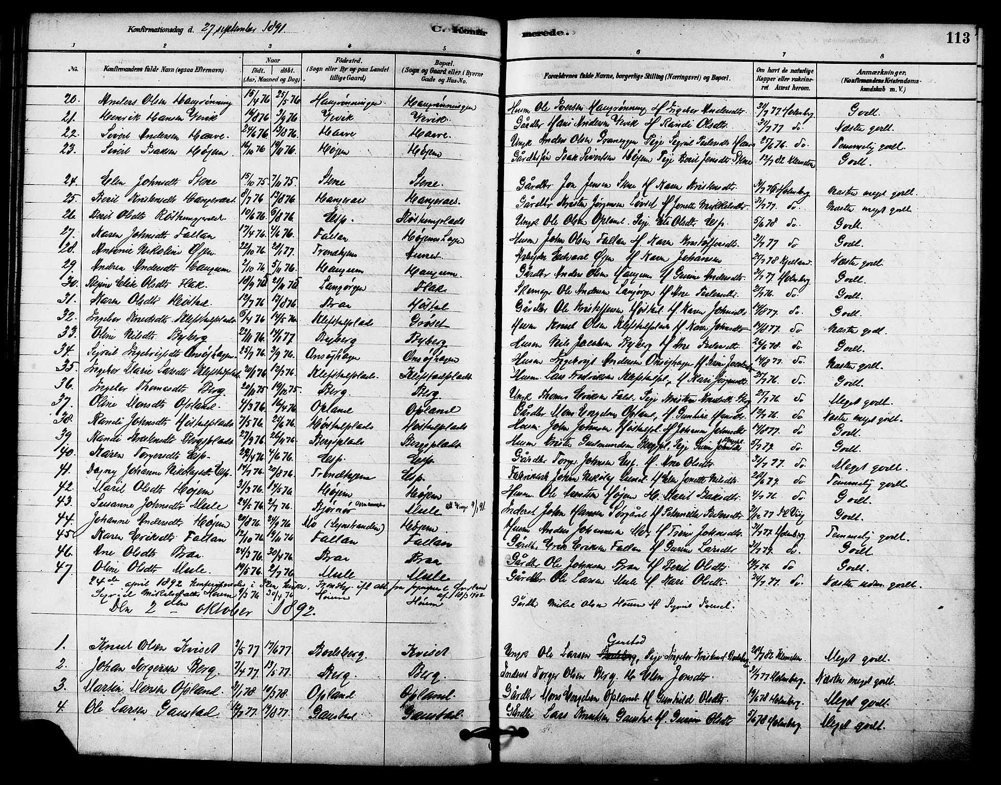 Ministerialprotokoller, klokkerbøker og fødselsregistre - Sør-Trøndelag, SAT/A-1456/612/L0378: Parish register (official) no. 612A10, 1878-1897, p. 113