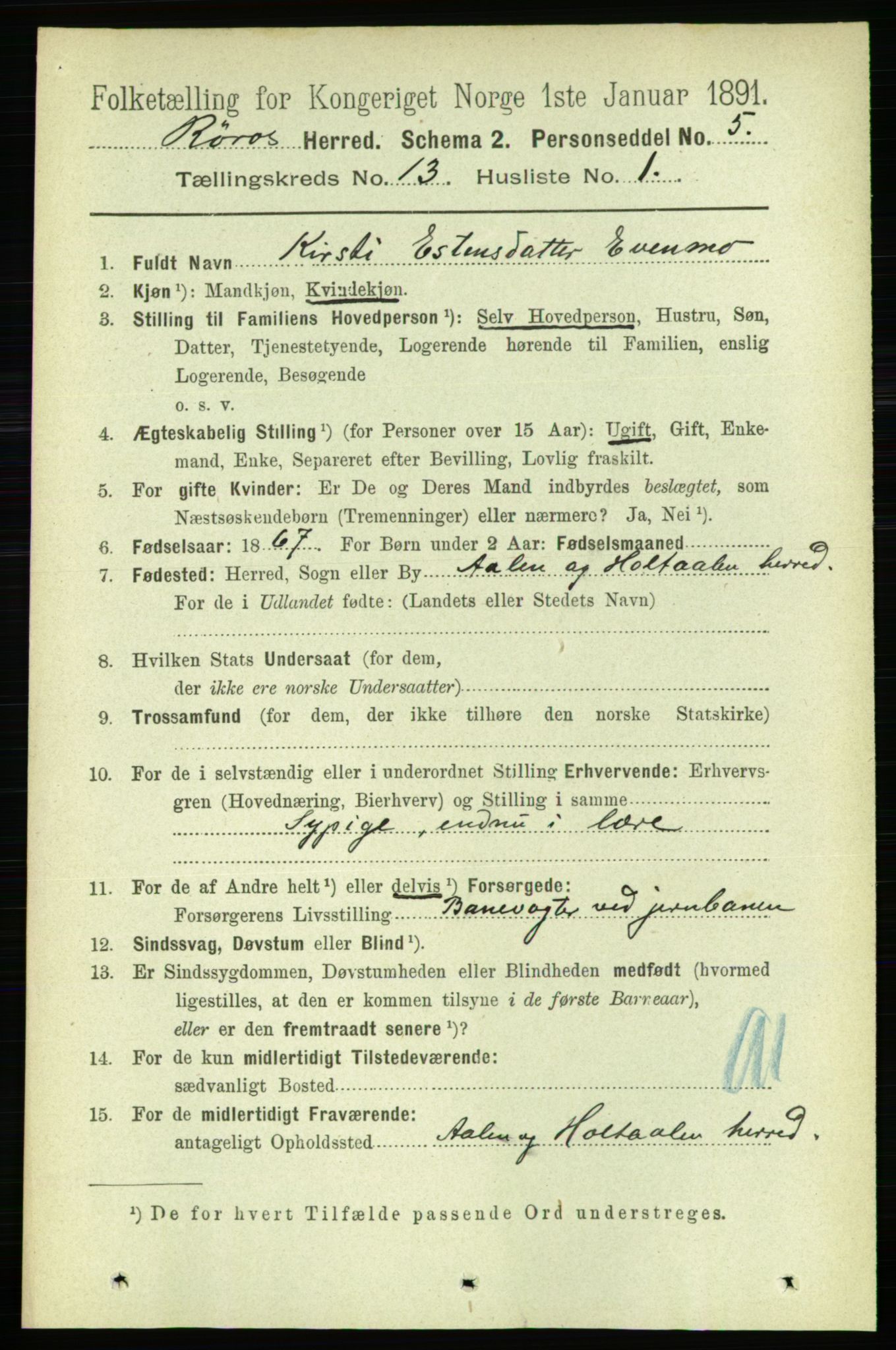 RA, 1891 census for 1640 Røros, 1891, p. 2561