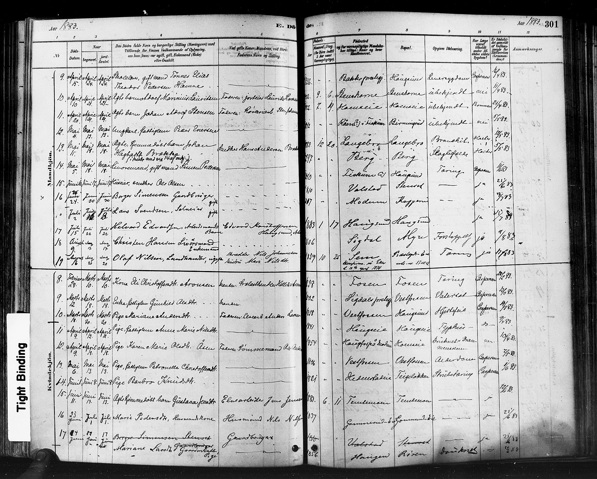 Eiker kirkebøker, AV/SAKO-A-4/F/Fb/L0001: Parish register (official) no. II 1, 1878-1888, p. 301