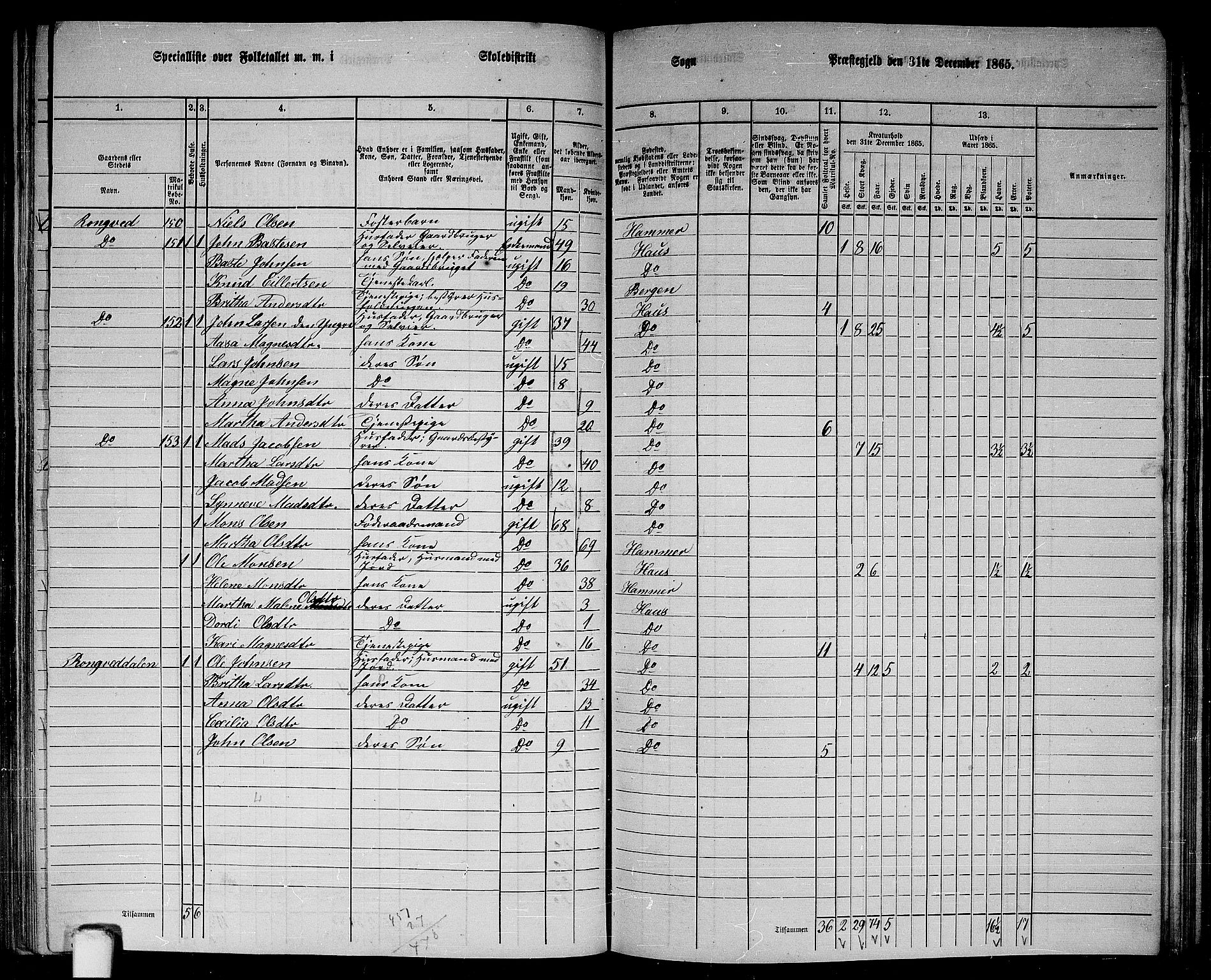 RA, 1865 census for Haus, 1865, p. 165