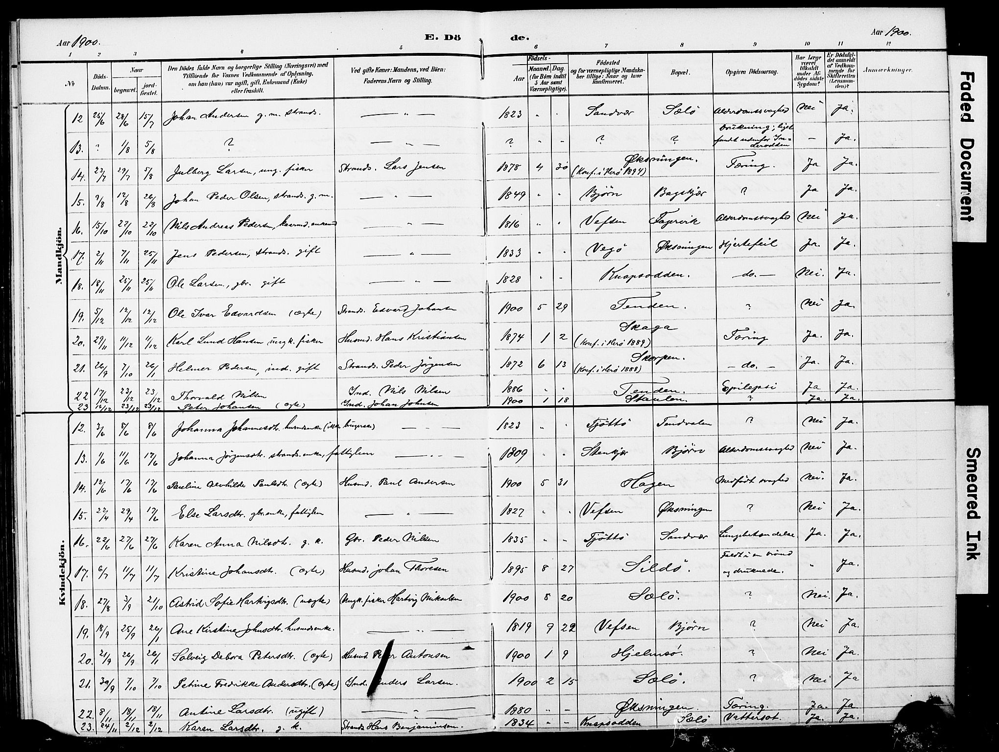 Ministerialprotokoller, klokkerbøker og fødselsregistre - Nordland, AV/SAT-A-1459/834/L0514: Parish register (copy) no. 834C05, 1893-1901