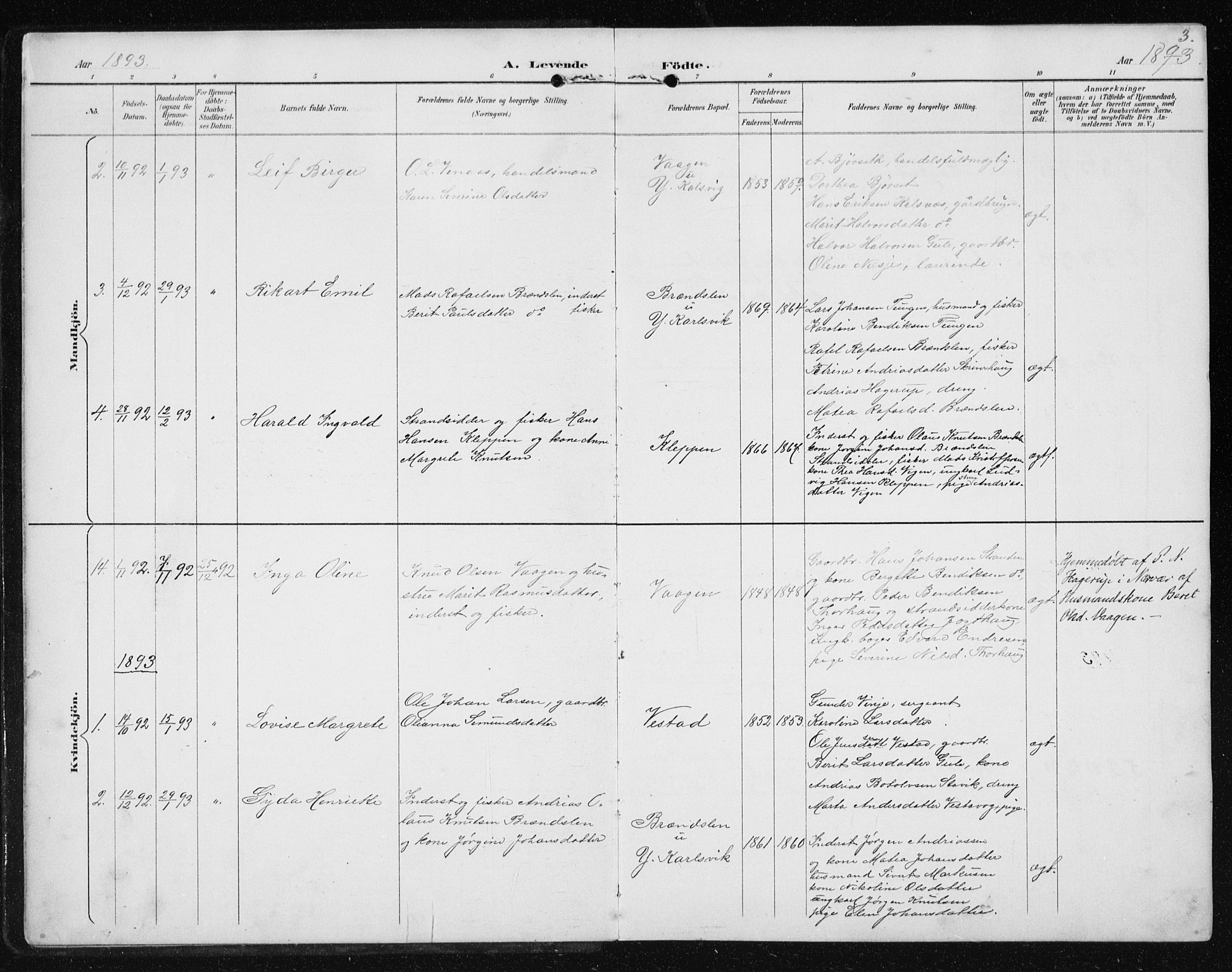 Ministerialprotokoller, klokkerbøker og fødselsregistre - Møre og Romsdal, AV/SAT-A-1454/566/L0773: Parish register (copy) no. 566C02, 1892-1909, p. 3