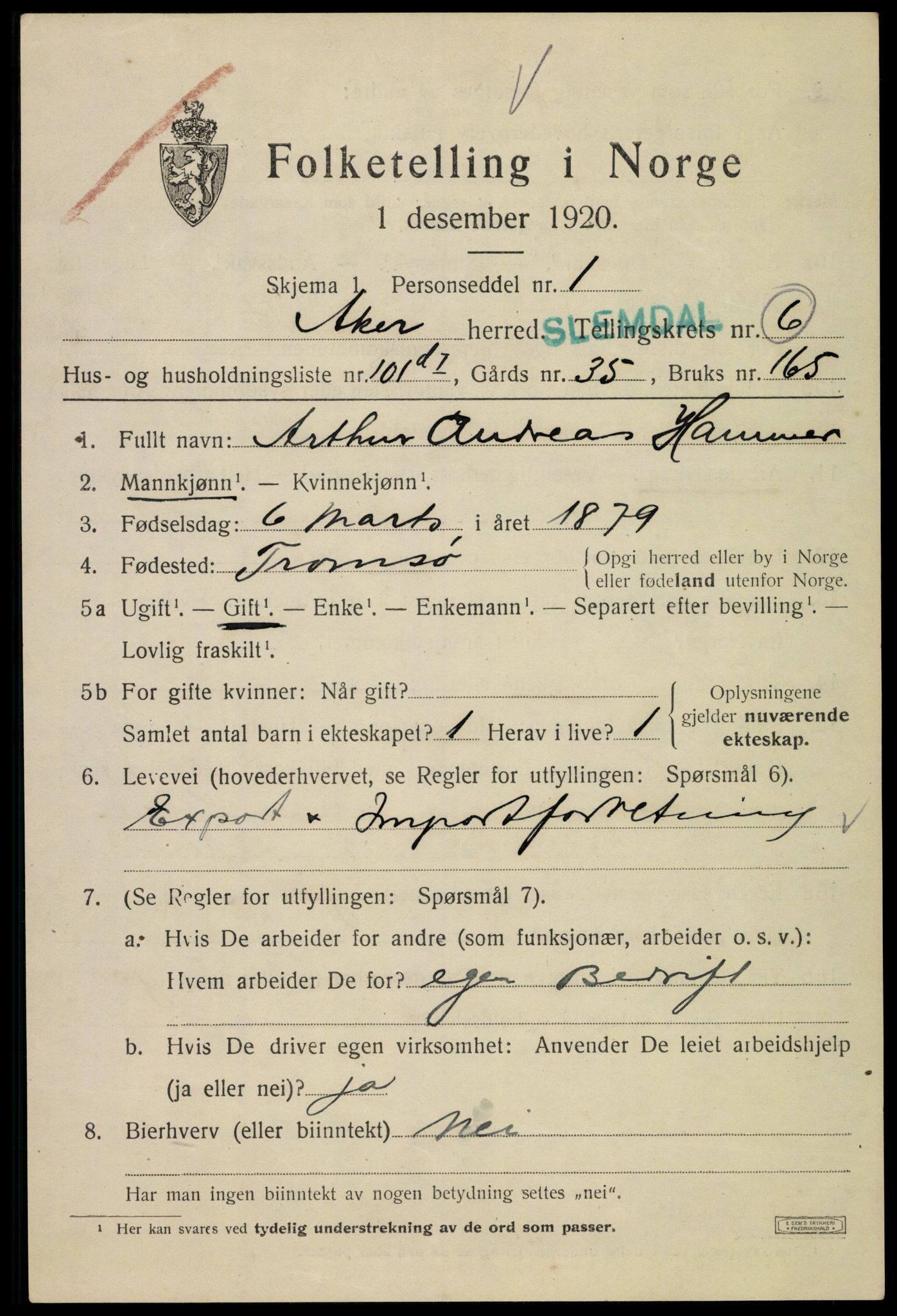 SAO, 1920 census for Aker, 1920, p. 33314