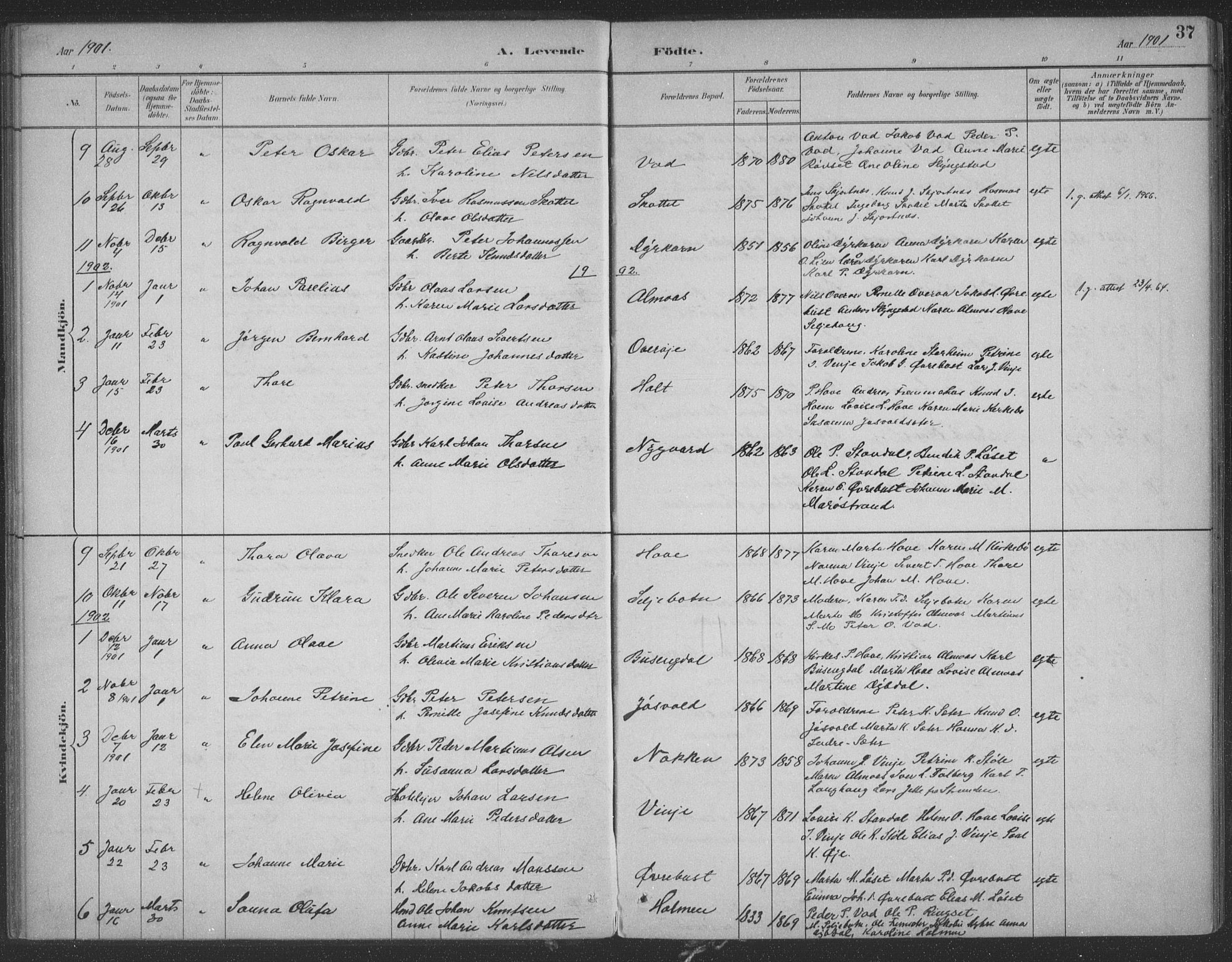 Ministerialprotokoller, klokkerbøker og fødselsregistre - Møre og Romsdal, SAT/A-1454/521/L0299: Parish register (official) no. 521A01, 1882-1907, p. 37