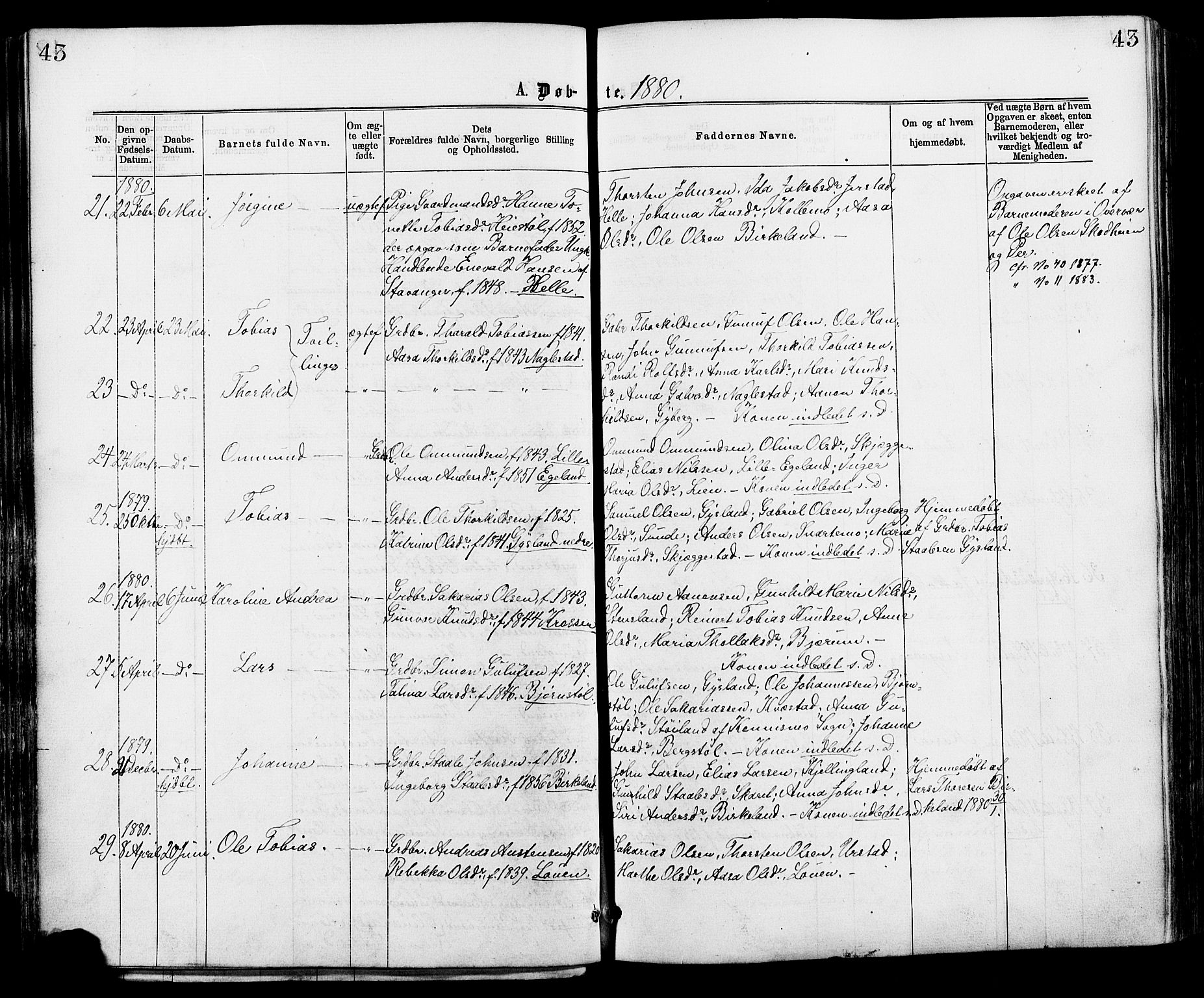 Hægebostad sokneprestkontor, AV/SAK-1111-0024/F/Fa/Faa/L0005: Parish register (official) no. A 5, 1864-1886, p. 43