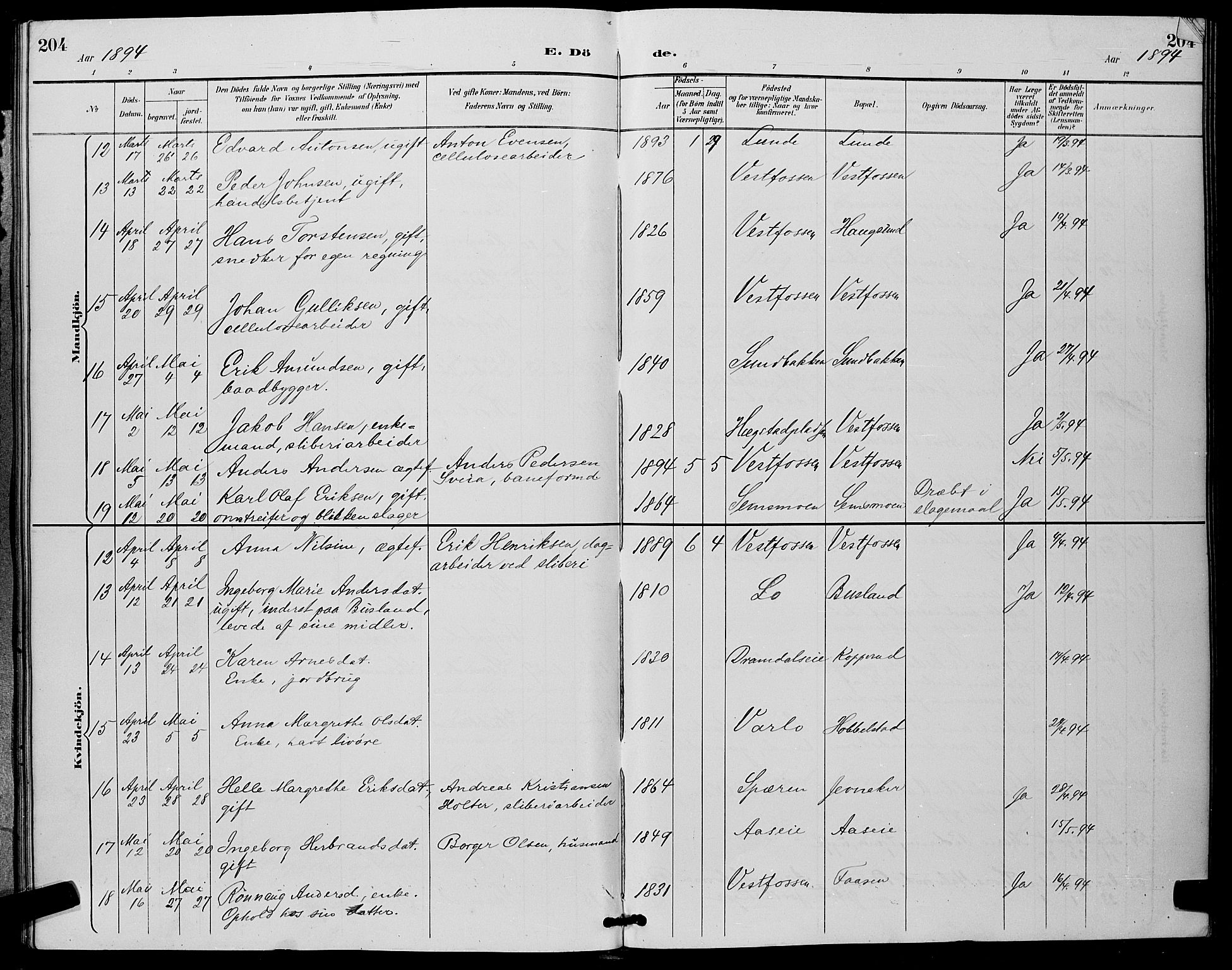 Eiker kirkebøker, AV/SAKO-A-4/G/Ga/L0007: Parish register (copy) no. I 7, 1893-1902, p. 204