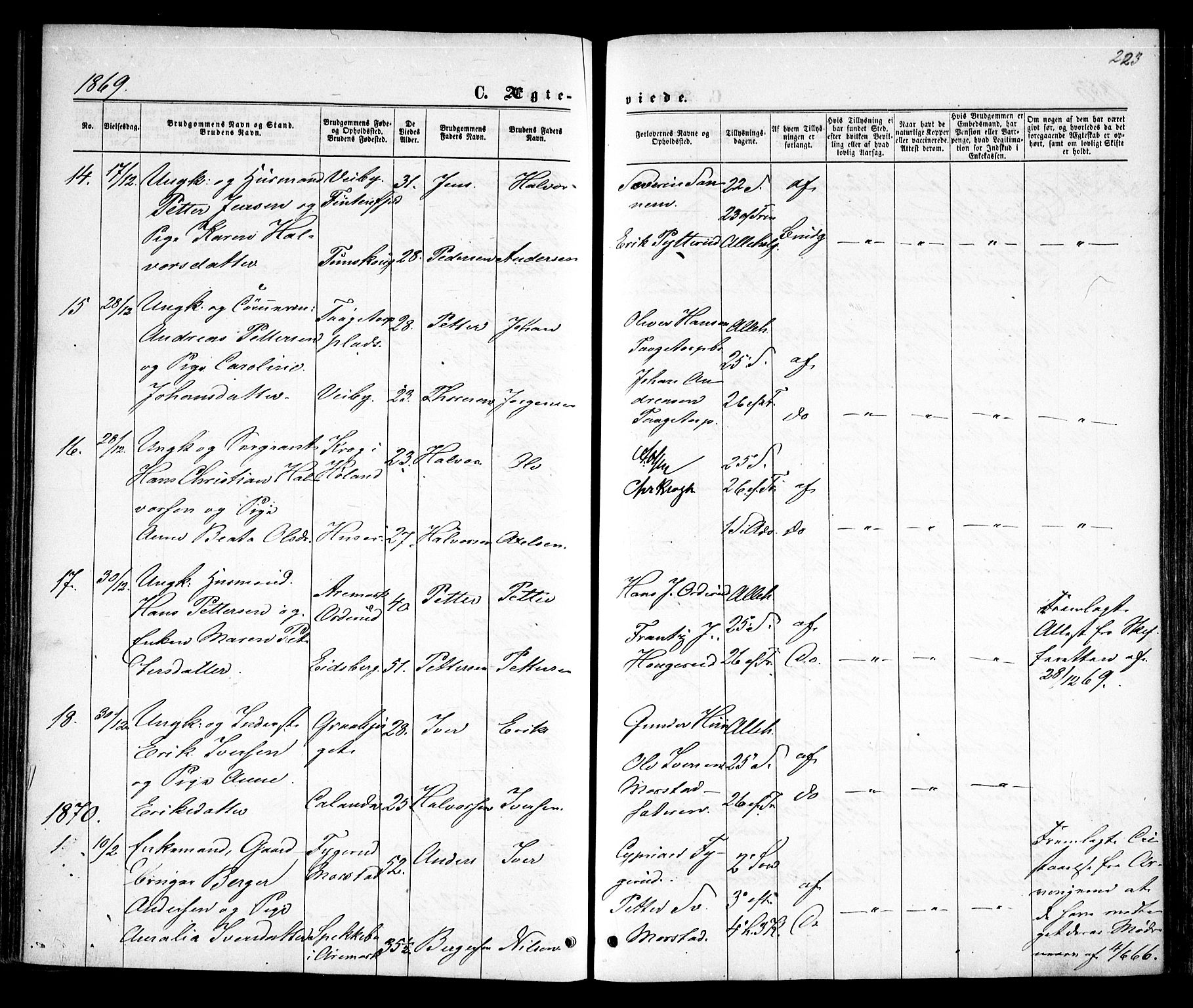 Rødenes prestekontor Kirkebøker, AV/SAO-A-2005/F/Fa/L0008: Parish register (official) no. I 8, 1869-1879, p. 223