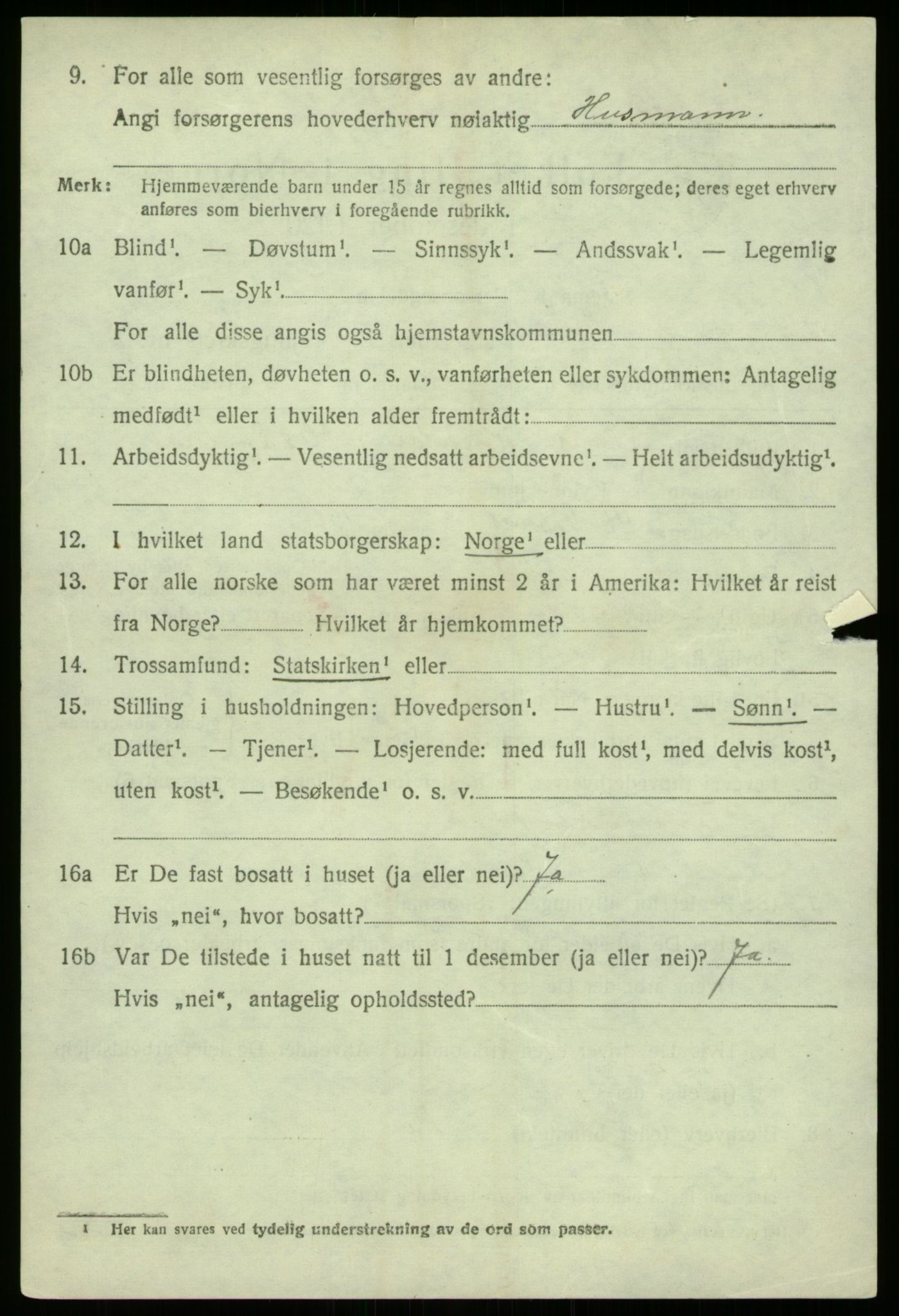 SAB, 1920 census for Lærdal, 1920, p. 4249