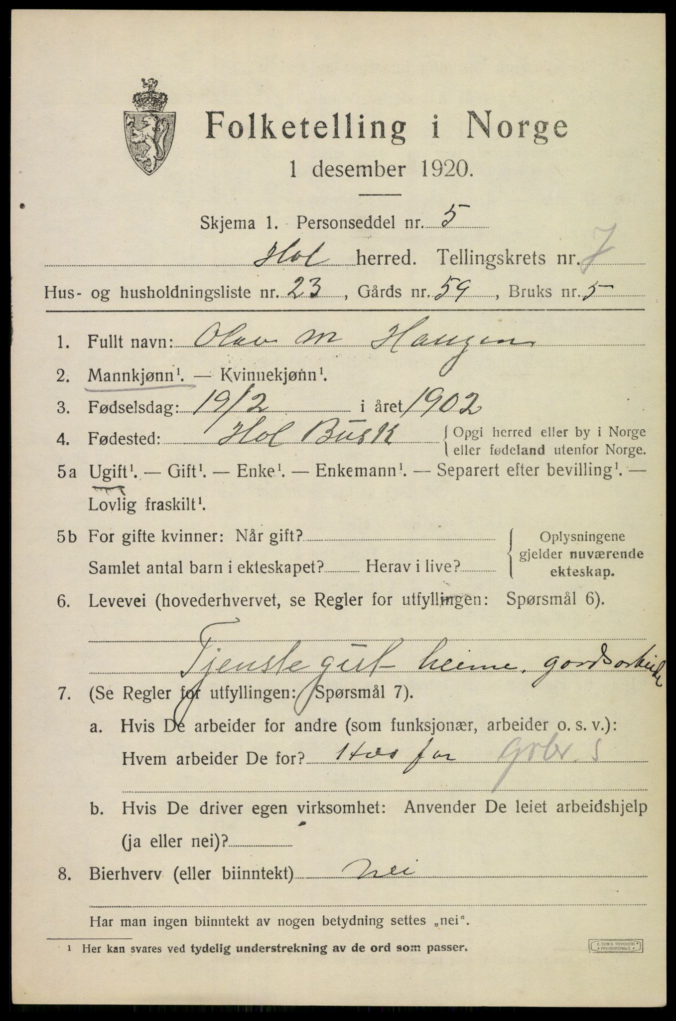 SAKO, 1920 census for Hol (Buskerud), 1920, p. 3795