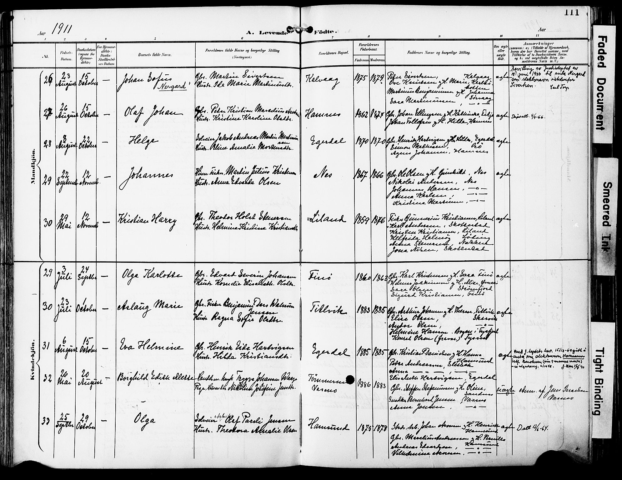 Ministerialprotokoller, klokkerbøker og fødselsregistre - Nordland, AV/SAT-A-1459/859/L0848: Parish register (official) no. 859A08, 1900-1912, p. 111