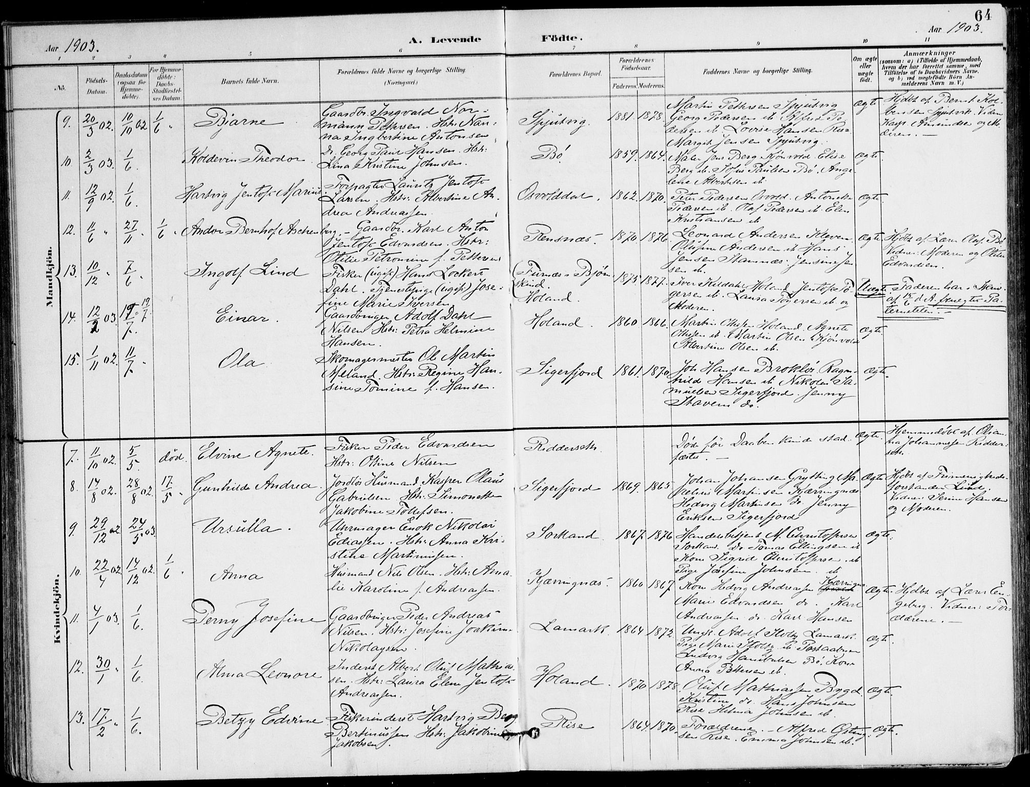 Ministerialprotokoller, klokkerbøker og fødselsregistre - Nordland, AV/SAT-A-1459/895/L1372: Parish register (official) no. 895A07, 1894-1914, p. 64