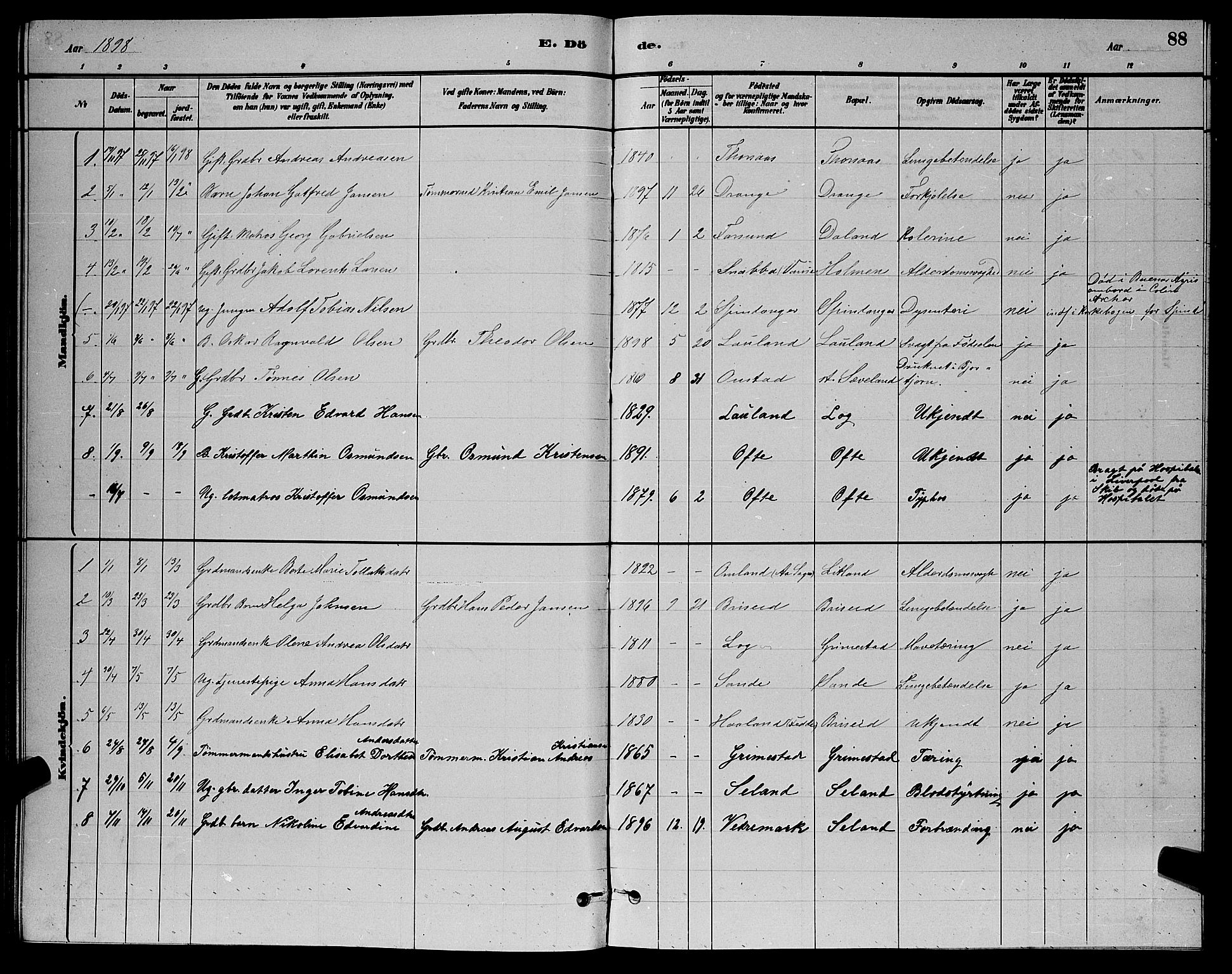 Herad sokneprestkontor, AV/SAK-1111-0018/F/Fb/Fba/L0004: Parish register (copy) no. B 4, 1882-1899, p. 88