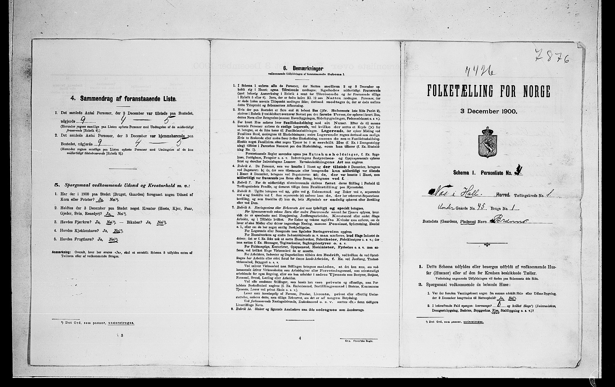 RA, 1900 census for Nes, 1900, p. 36