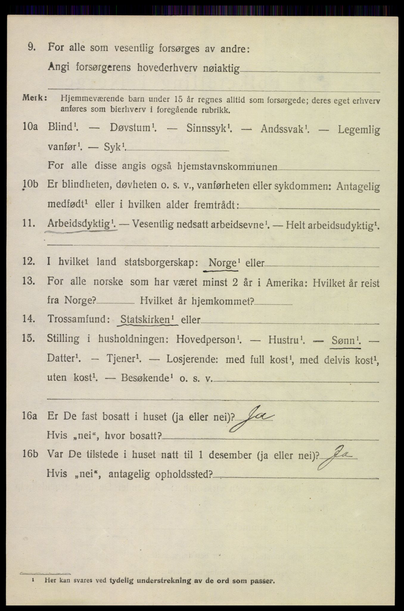 SAH, 1920 census for Skjåk, 1920, p. 1569