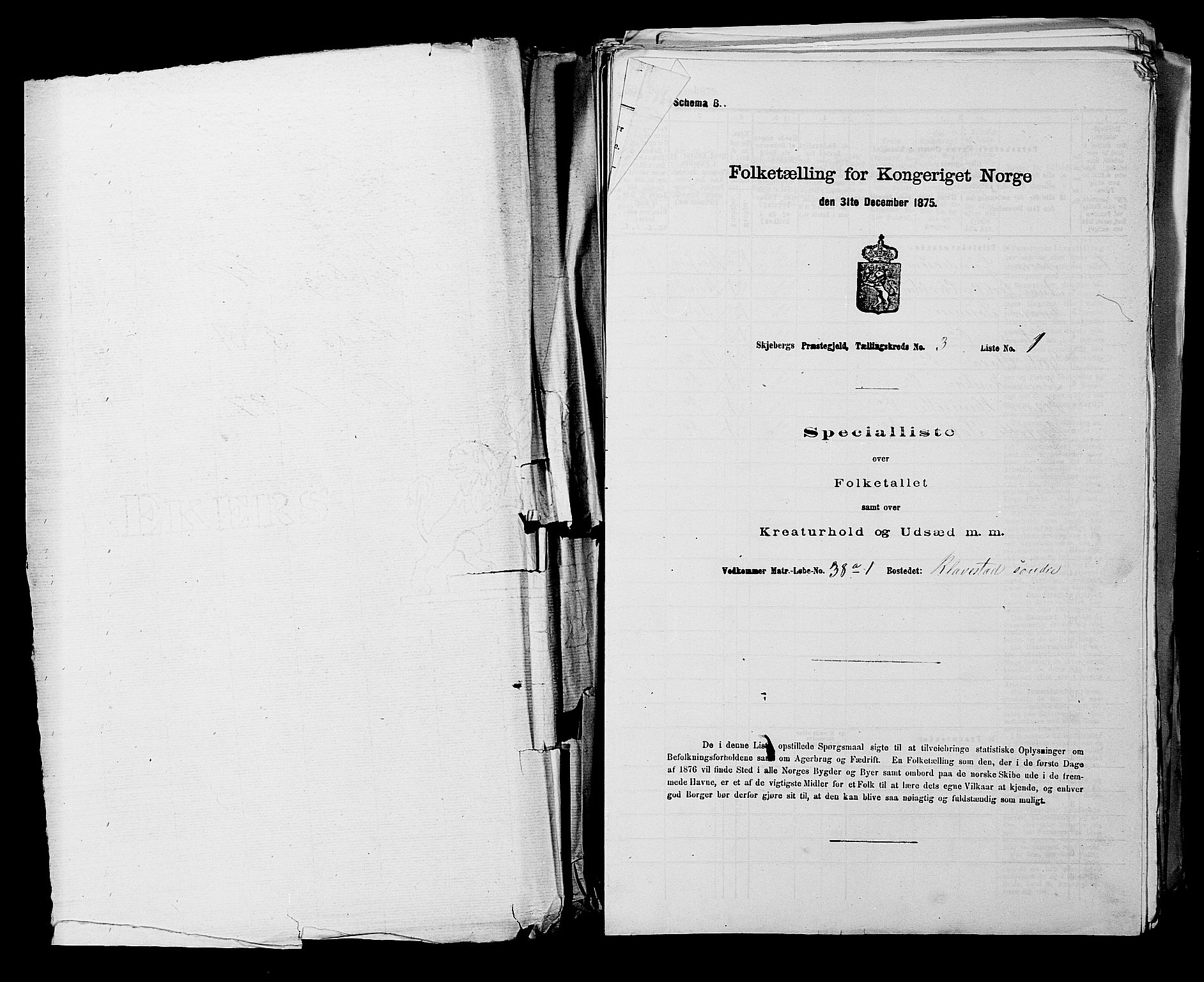 RA, 1875 census for 0115P Skjeberg, 1875, p. 383