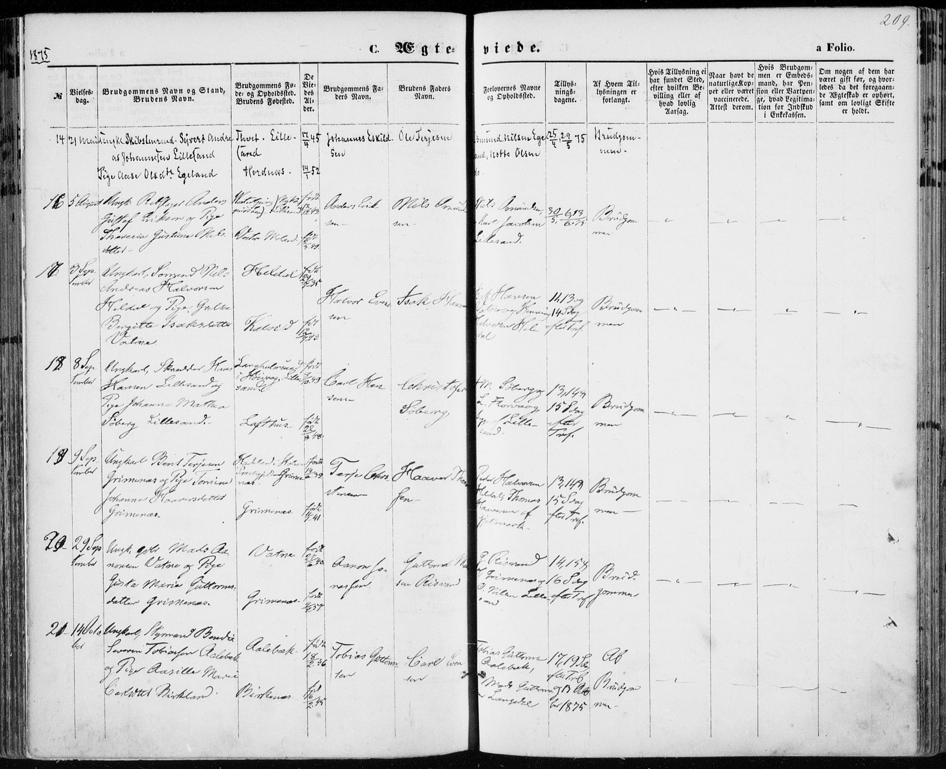 Vestre Moland sokneprestkontor, SAK/1111-0046/F/Fa/Fab/L0008: Parish register (official) no. A 8, 1873-1883, p. 209