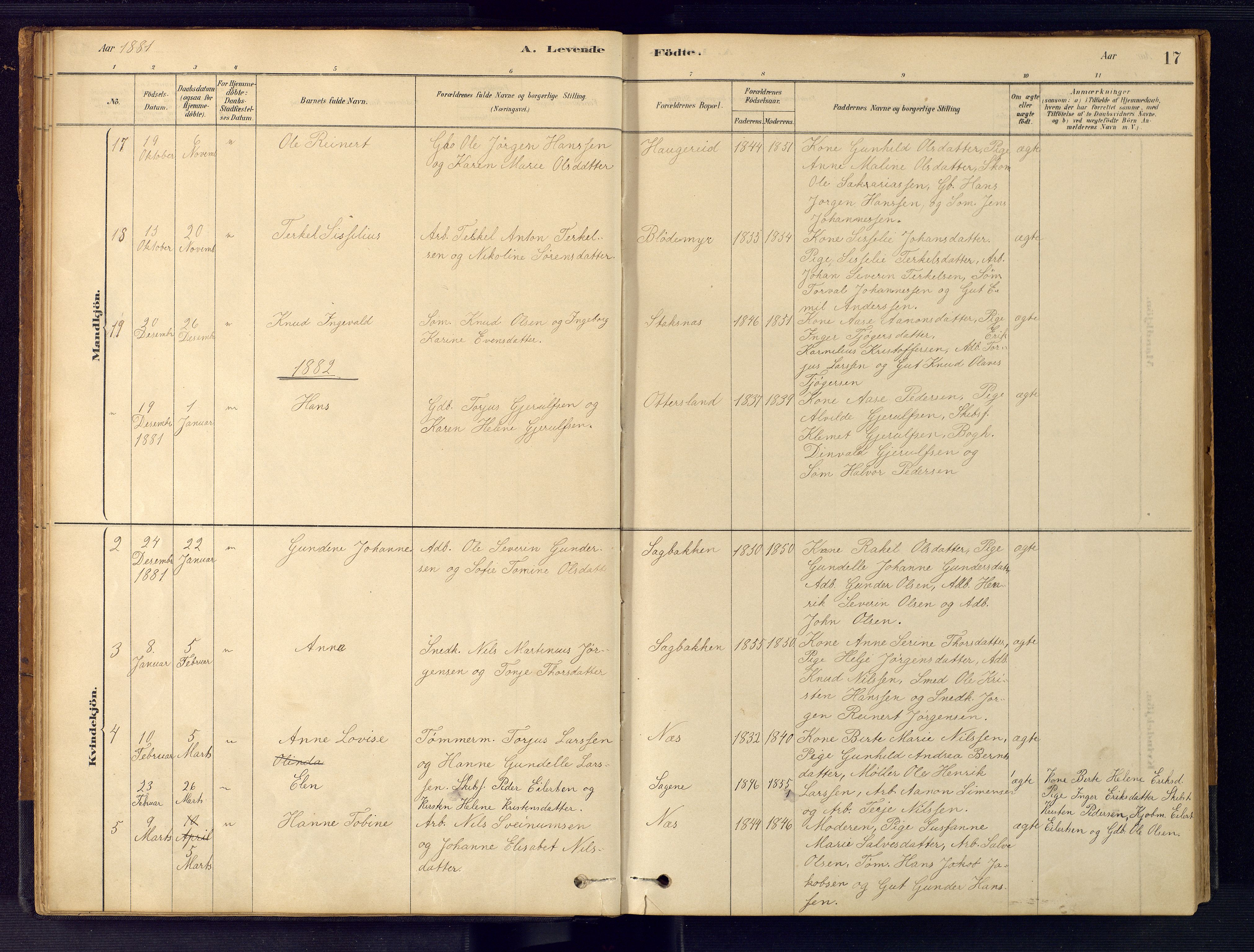 Austre Moland sokneprestkontor, AV/SAK-1111-0001/F/Fb/Fbb/L0001: Parish register (copy) no. B 1, 1878-1904, p. 17