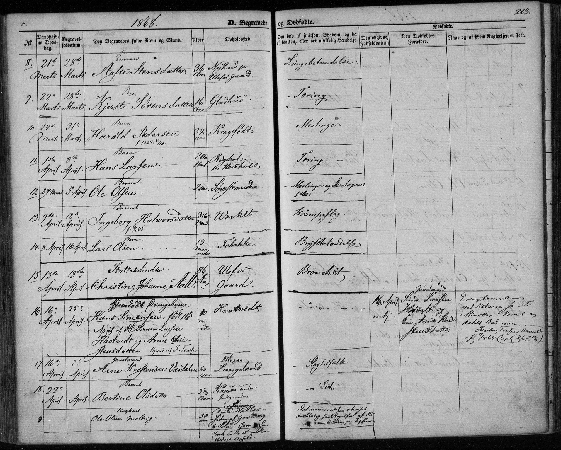 Holla kirkebøker, SAKO/A-272/F/Fa/L0006: Parish register (official) no. 6, 1861-1869, p. 263