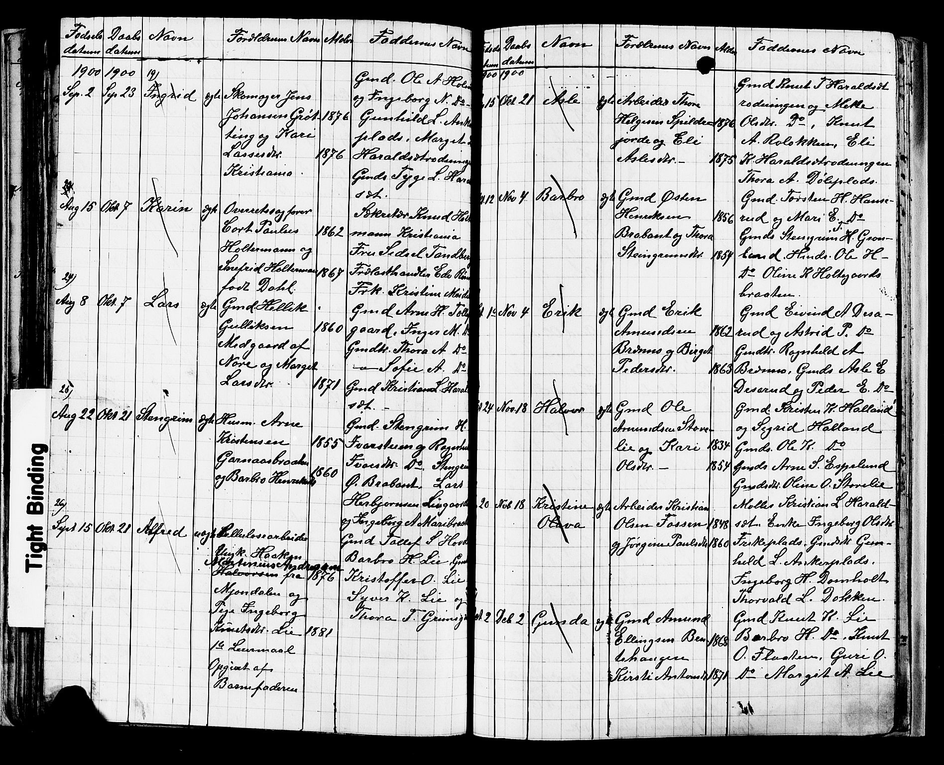 Nes kirkebøker, AV/SAKO-A-236/G/Ga/L0003: Parish register (copy) no. I 3, 1889-1909