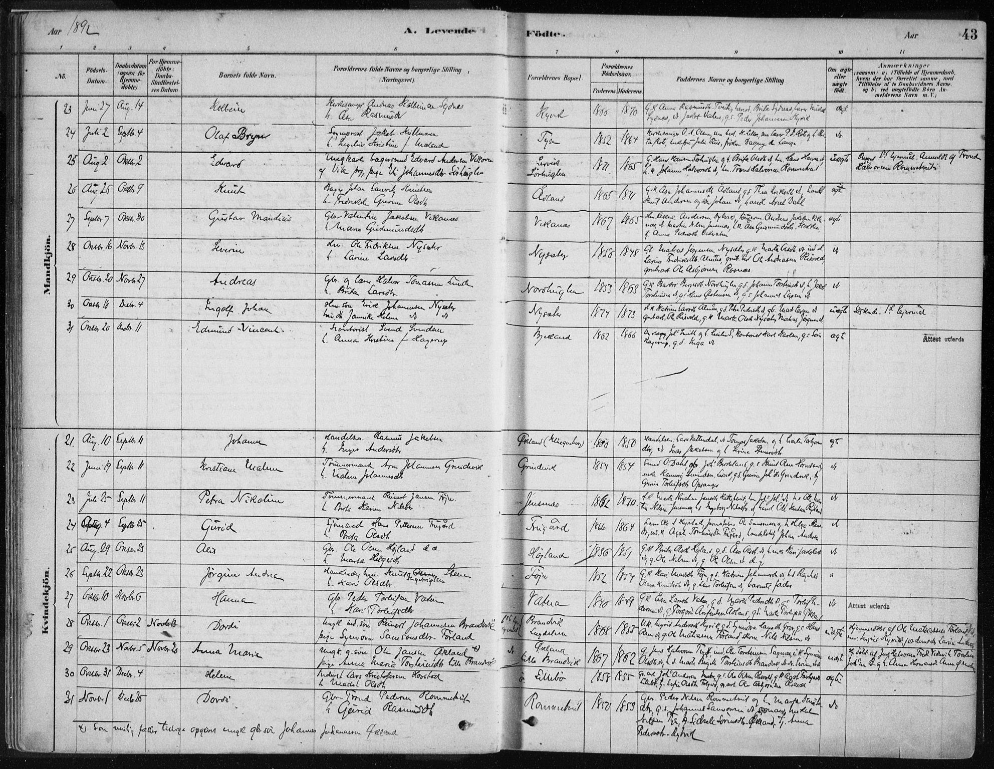 Stord sokneprestembete, AV/SAB-A-78201/H/Haa: Parish register (official) no. B 2, 1878-1913, p. 43
