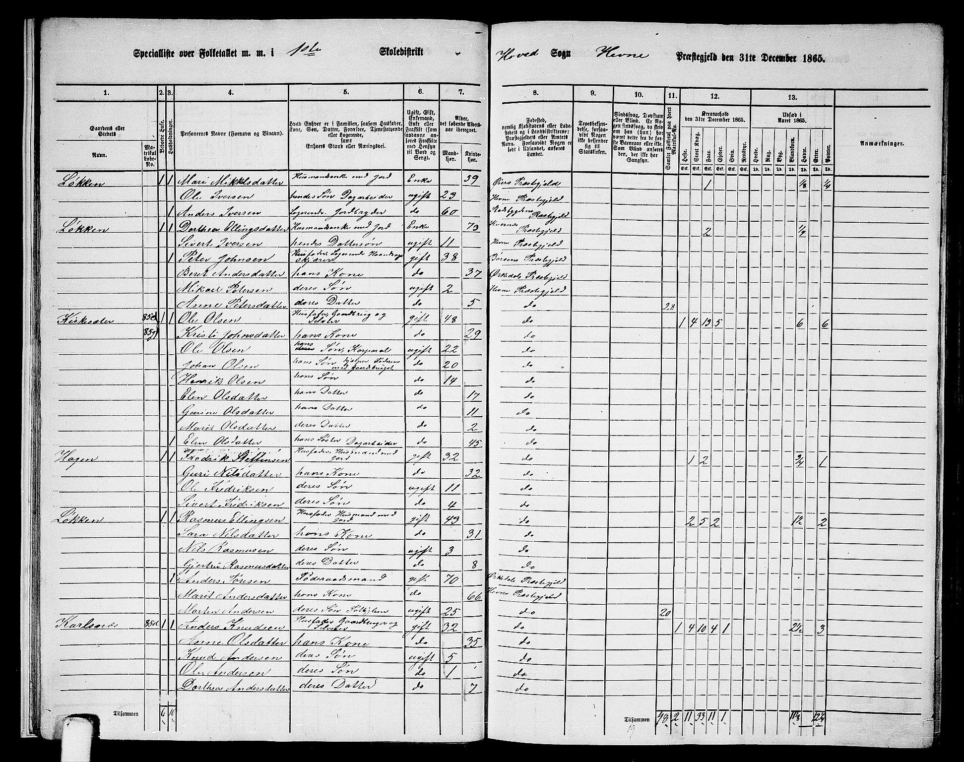 RA, 1865 census for Hemne, 1865, p. 15