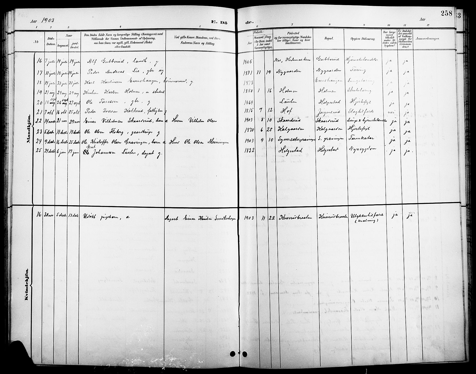Åsnes prestekontor, SAH/PREST-042/H/Ha/Hab/L0004: Parish register (copy) no. 4, 1895-1909, p. 258