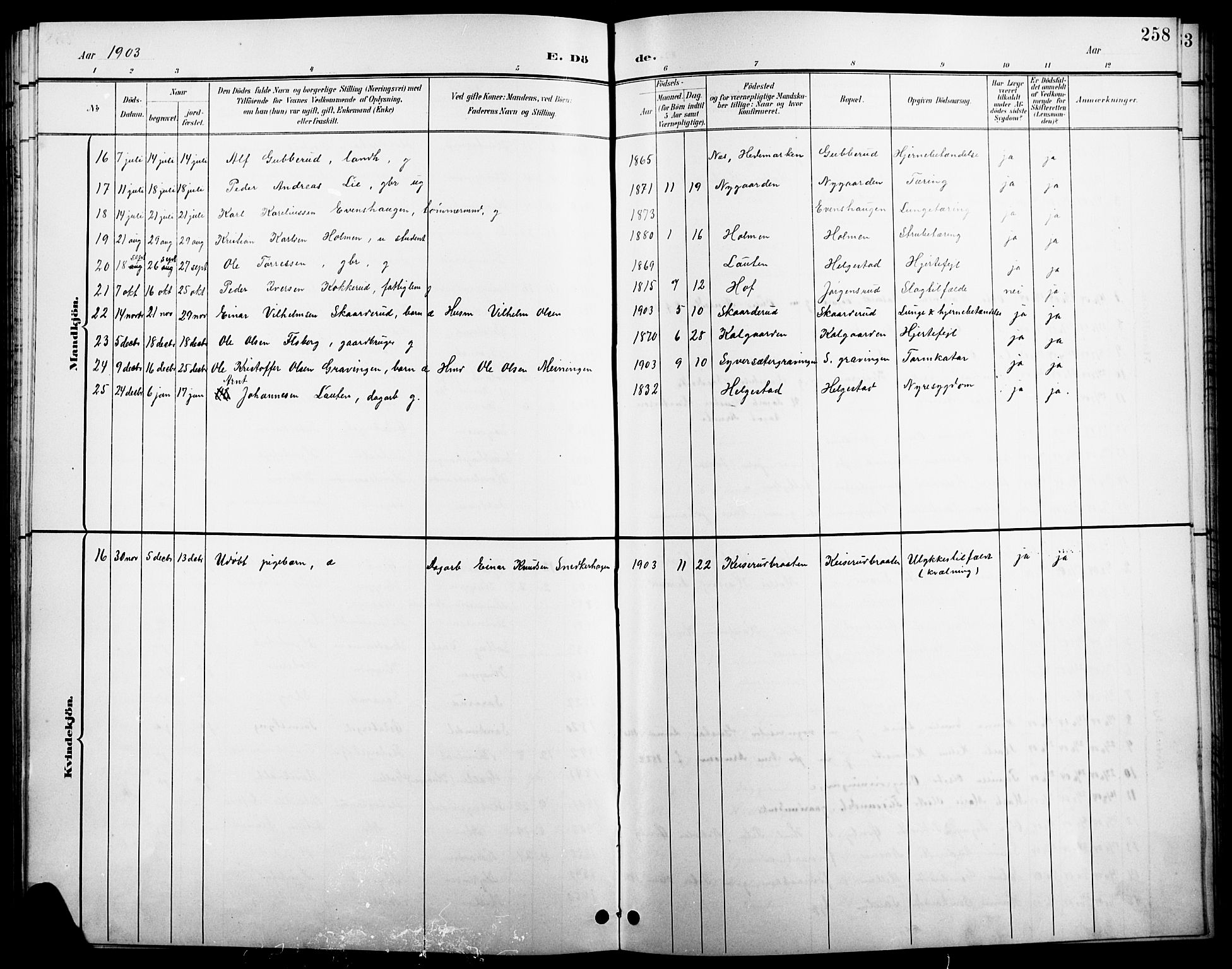 Åsnes prestekontor, AV/SAH-PREST-042/H/Ha/Hab/L0004: Parish register (copy) no. 4, 1895-1909, p. 258