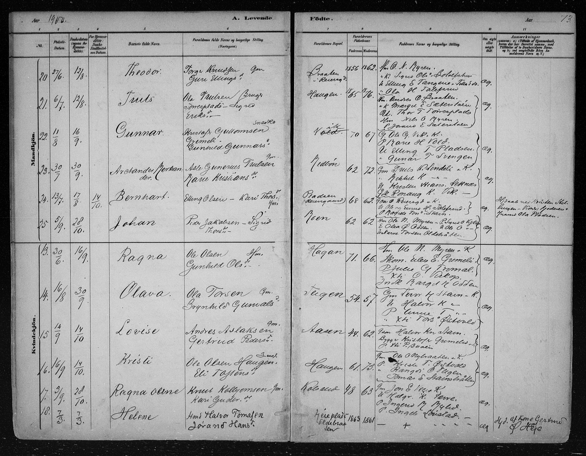Nes kirkebøker, SAKO/A-236/F/Fa/L0012: Parish register (official) no. 12, 1881-1917, p. 73