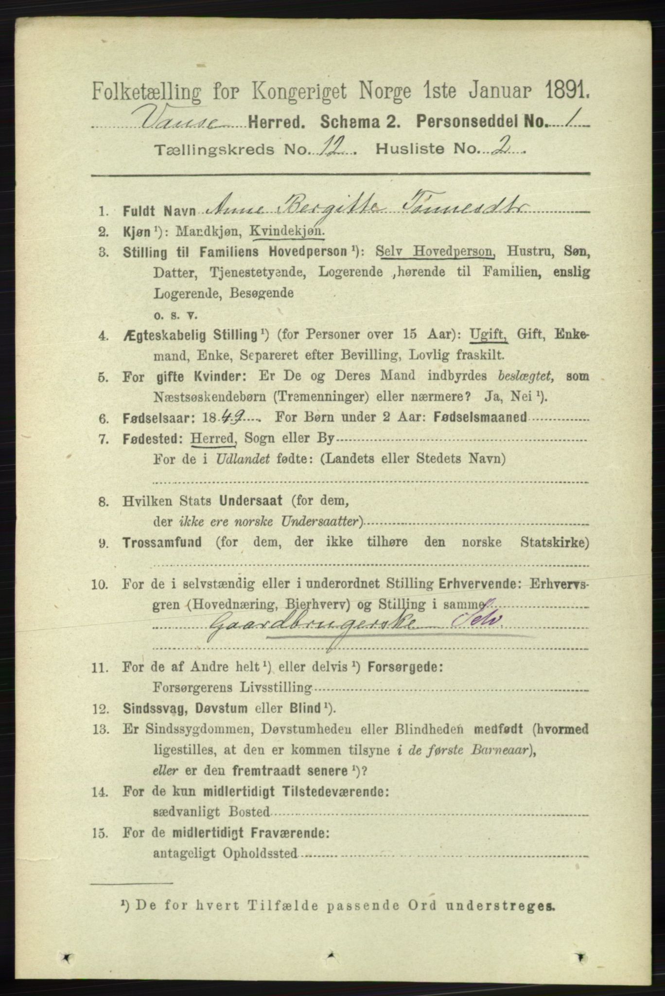 RA, 1891 census for 1041 Vanse, 1891, p. 6813