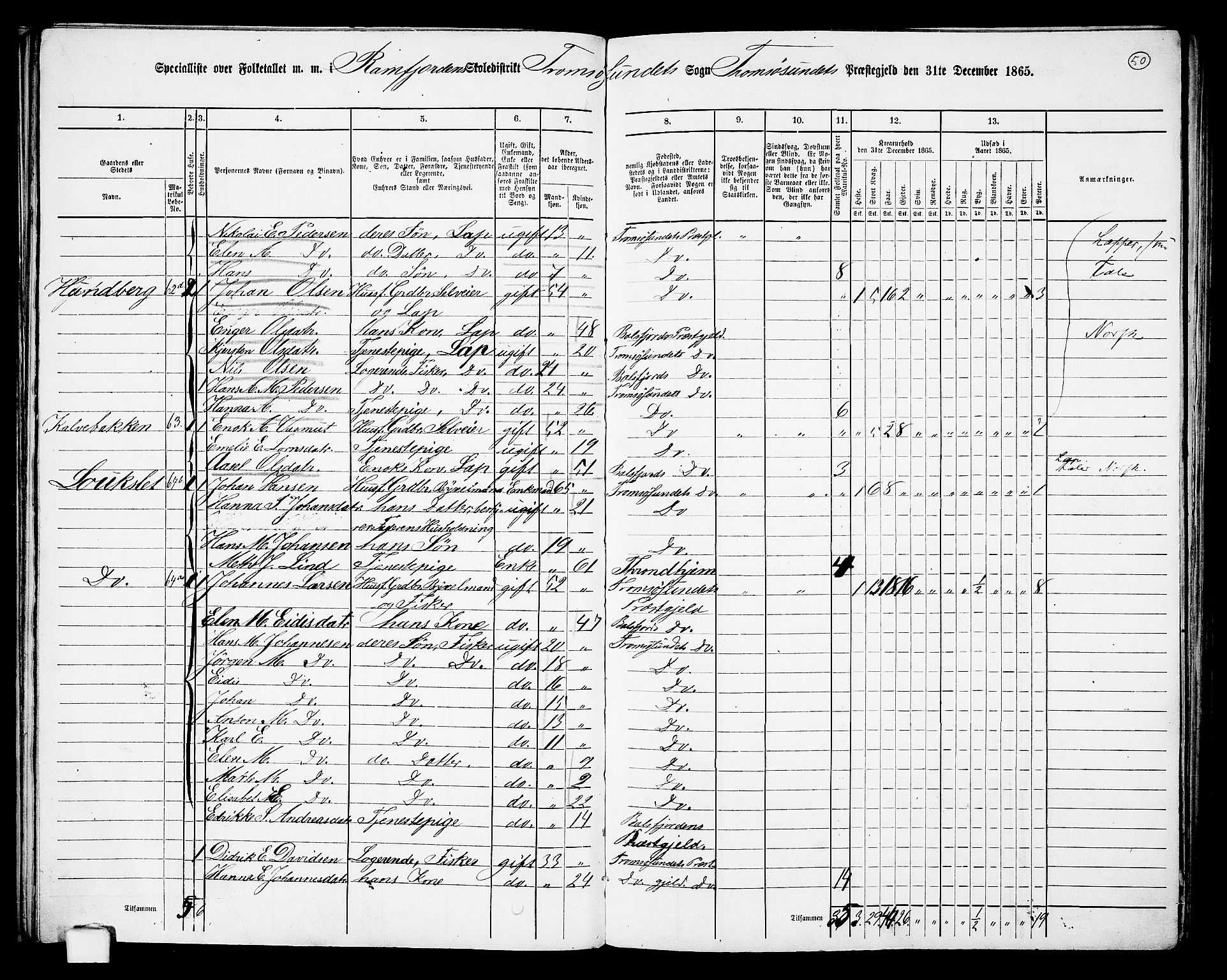 RA, 1865 census for Tromsøysund, 1865, p. 45