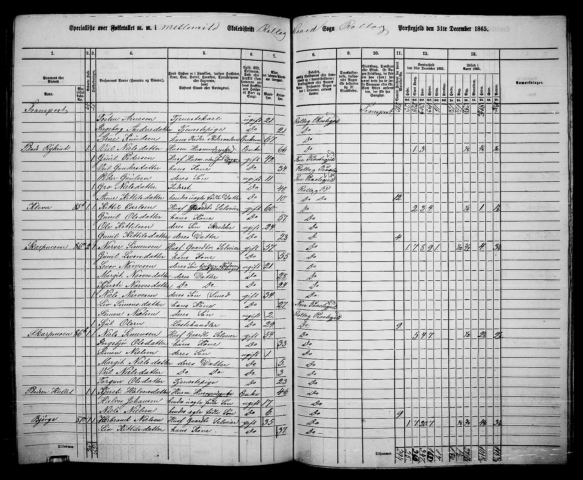 RA, 1865 census for Rollag, 1865, p. 35