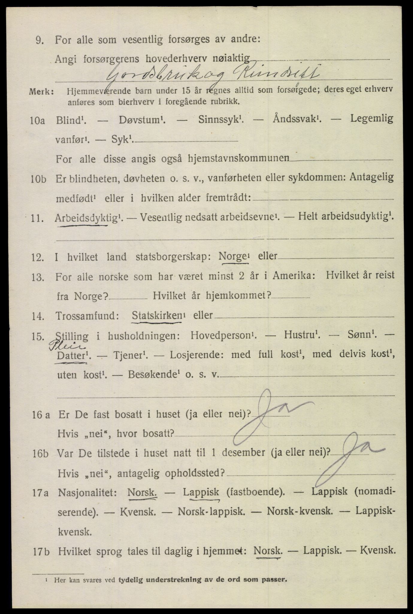 SAT, 1920 census for Bodin, 1920, p. 9313