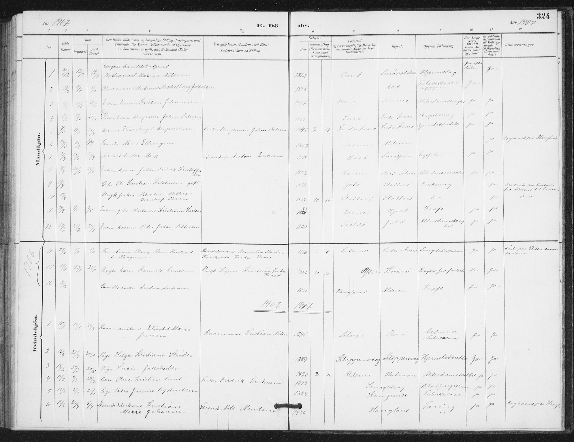 Ministerialprotokoller, klokkerbøker og fødselsregistre - Nordland, SAT/A-1459/839/L0573: Parish register (copy) no. 839C03, 1892-1917, p. 324