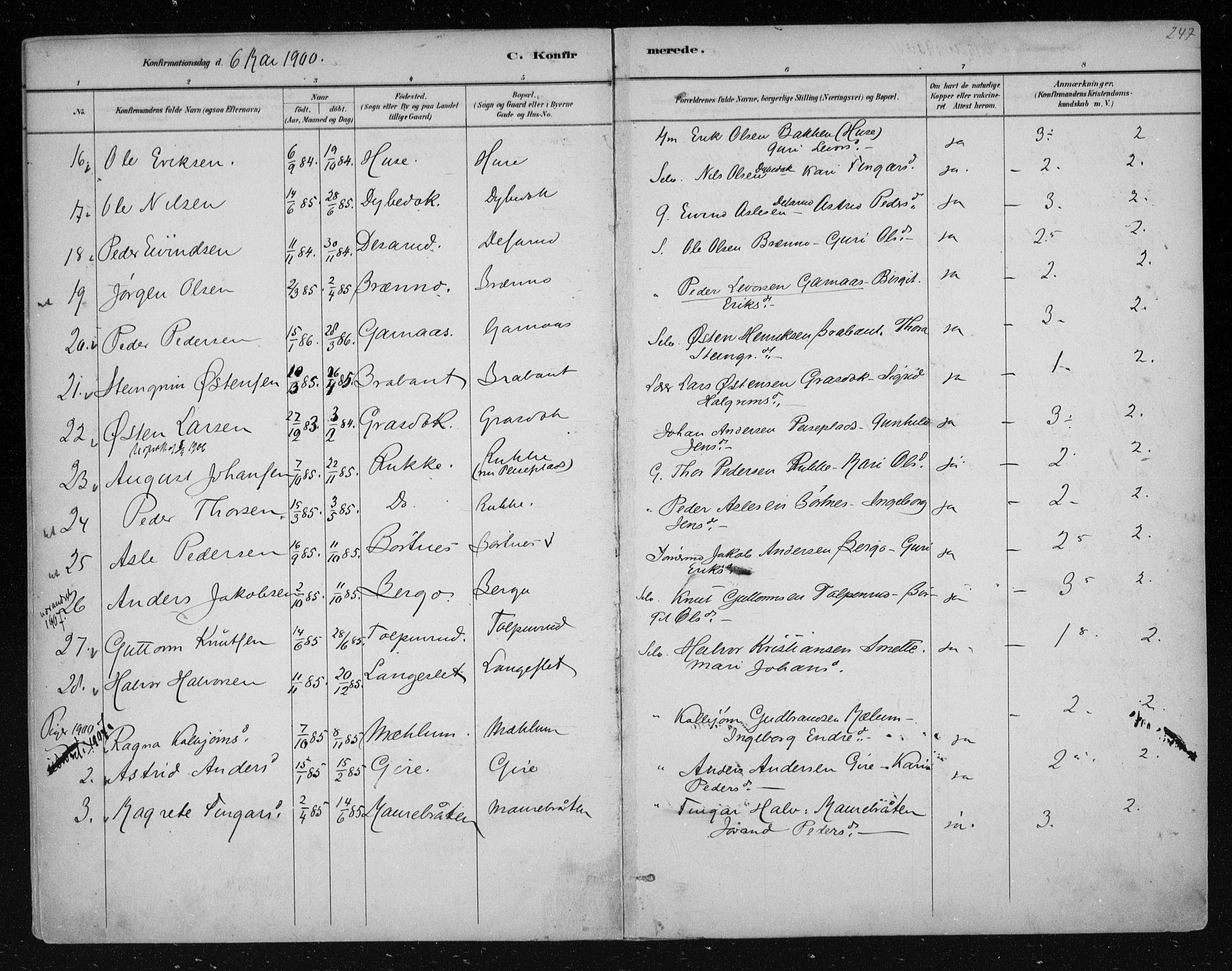 Nes kirkebøker, AV/SAKO-A-236/F/Fa/L0011: Parish register (official) no. 11, 1881-1912, p. 247