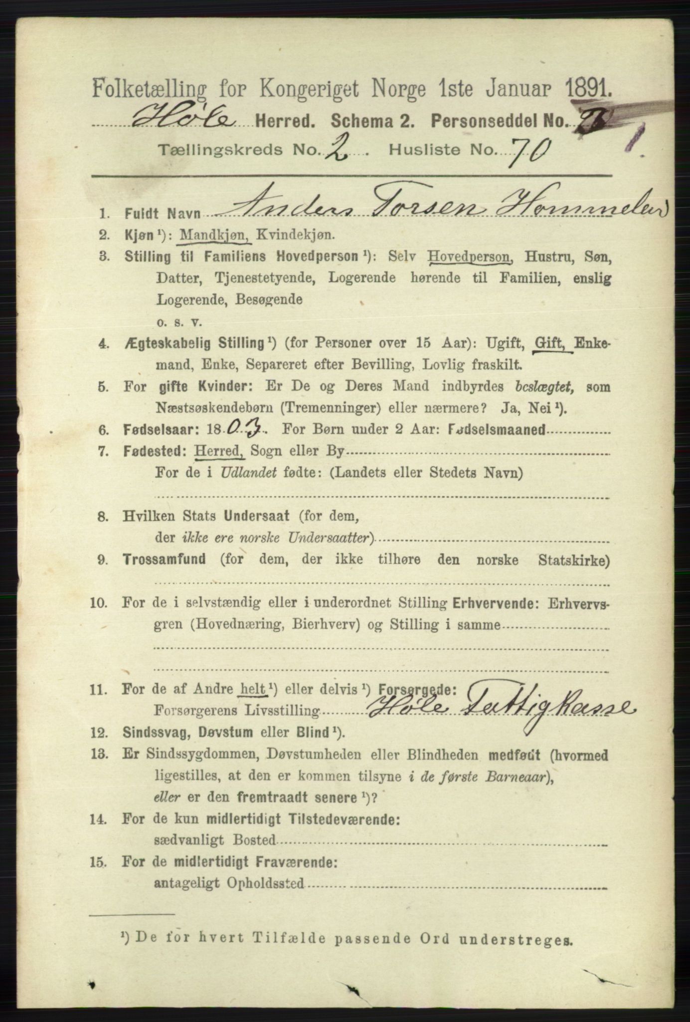 RA, 1891 census for 1128 Høle, 1891, p. 616