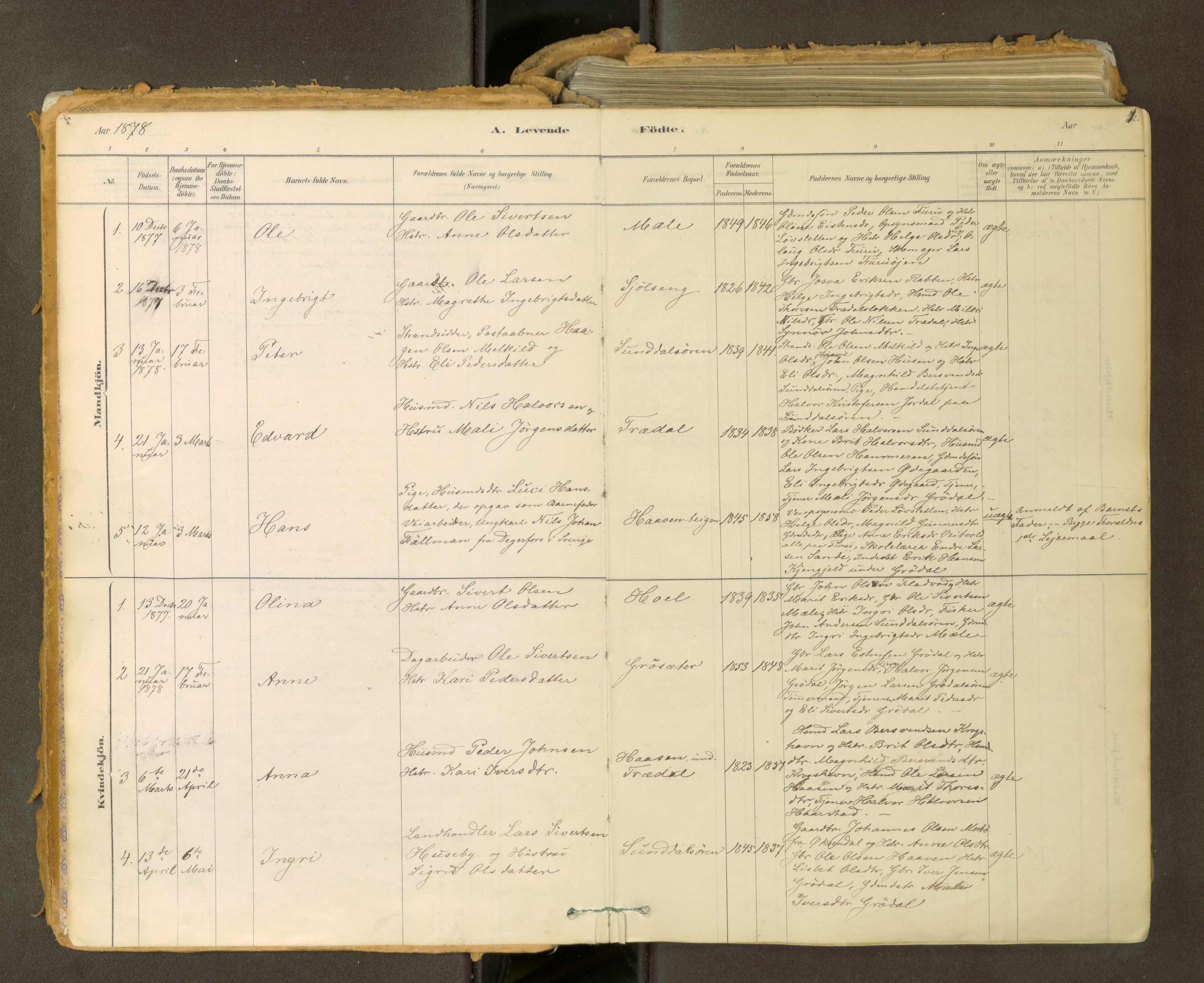Sunndal sokneprestkontor, SAT/A-1085/1/I/I1/I1a: Parish register (official) no. 2, 1877-1914, p. 1