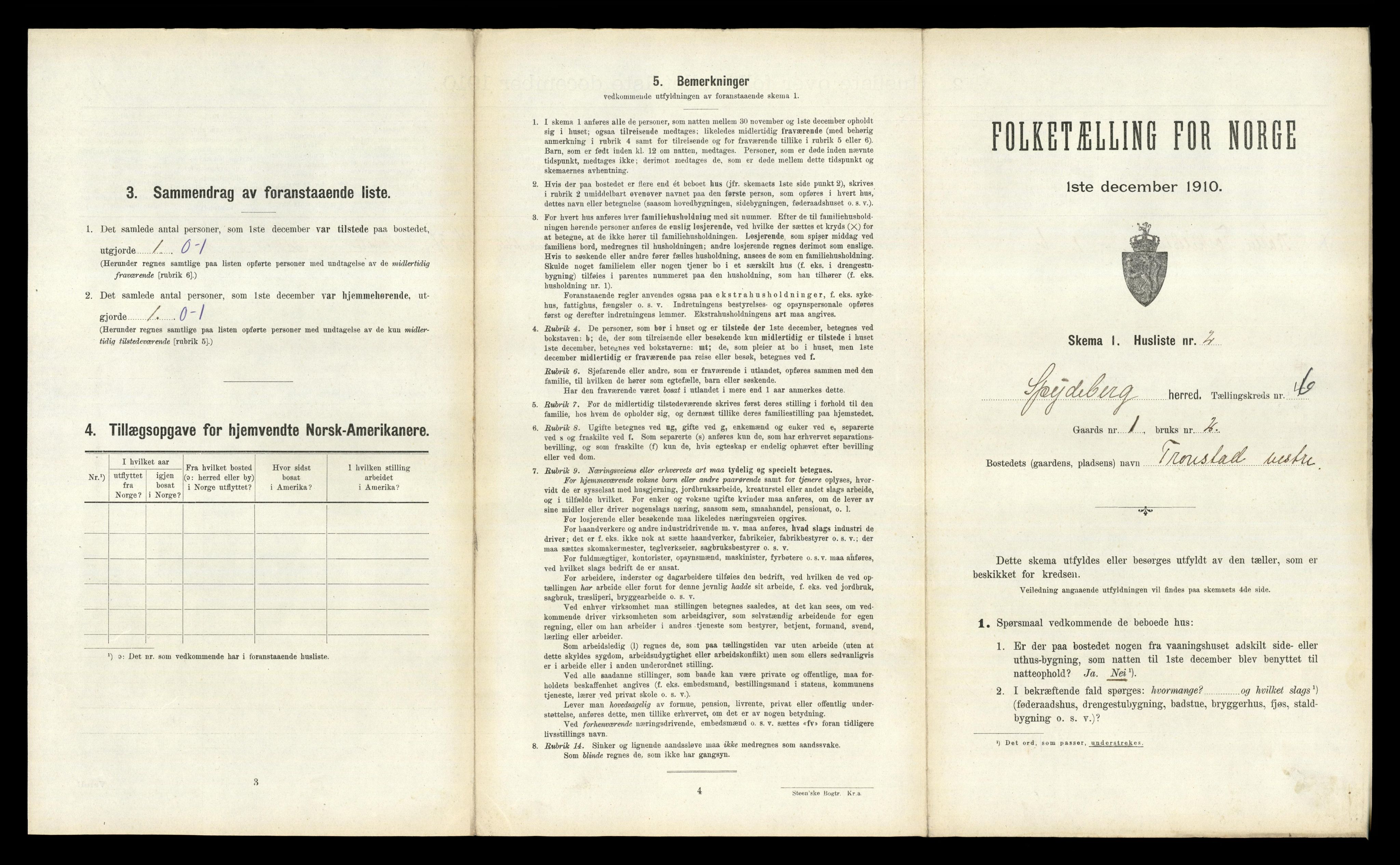 RA, 1910 census for Spydeberg, 1910, p. 705
