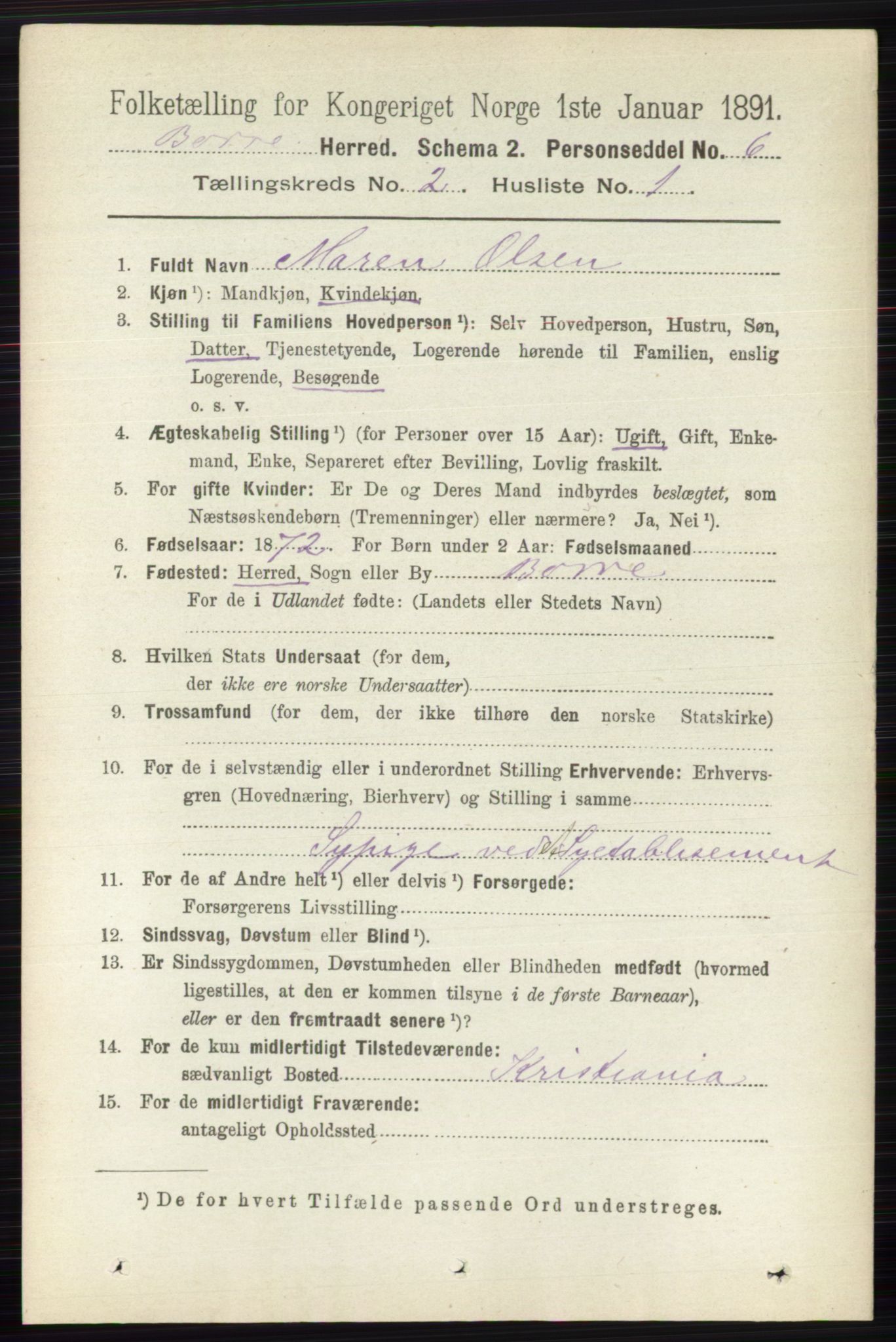 RA, 1891 census for 0717 Borre, 1891, p. 809