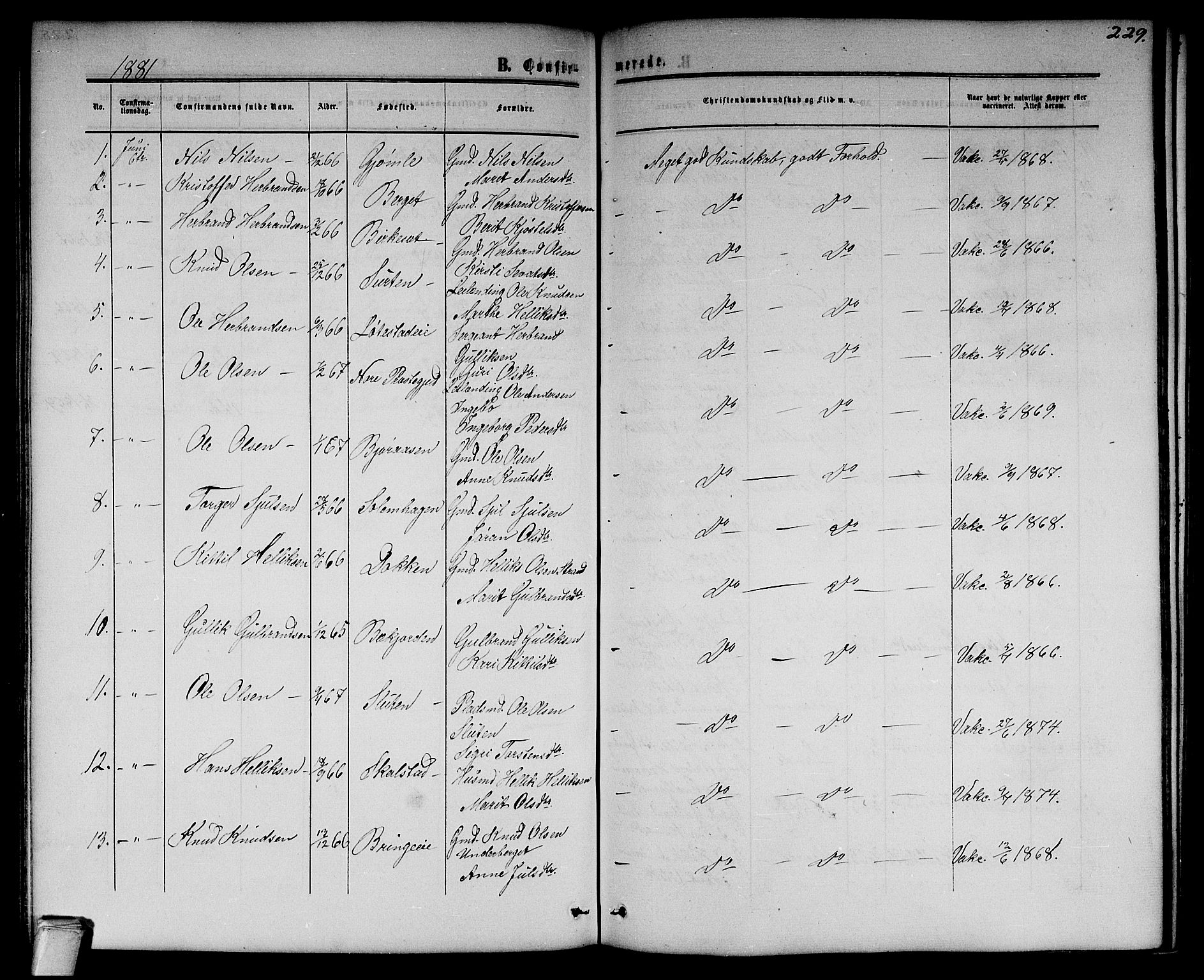 Flesberg kirkebøker, SAKO/A-18/G/Ga/L0003: Parish register (copy) no. I 3, 1861-1889, p. 229