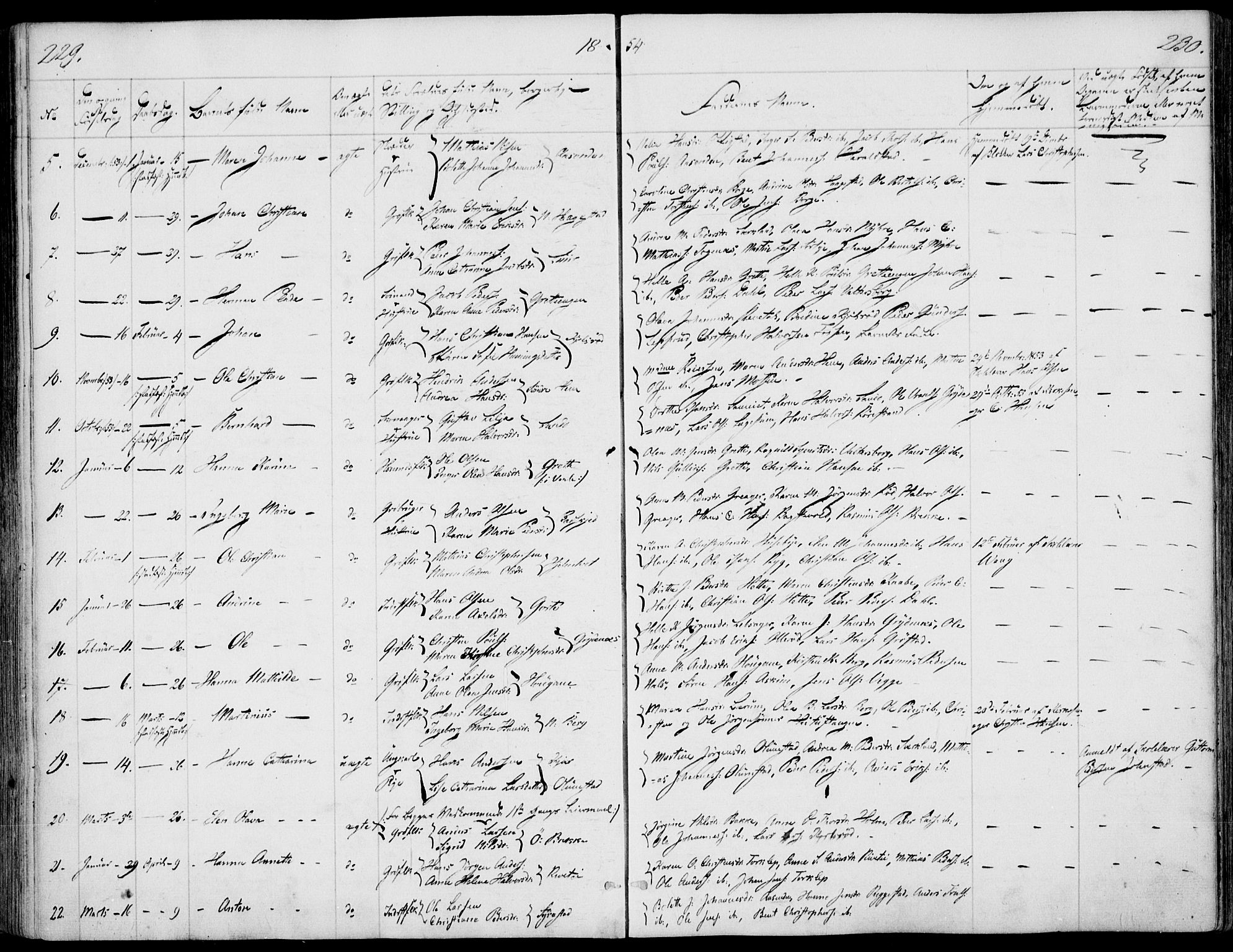 Våle kirkebøker, AV/SAKO-A-334/F/Fa/L0009a: Parish register (official) no. I 9A, 1839-1860, p. 229-230