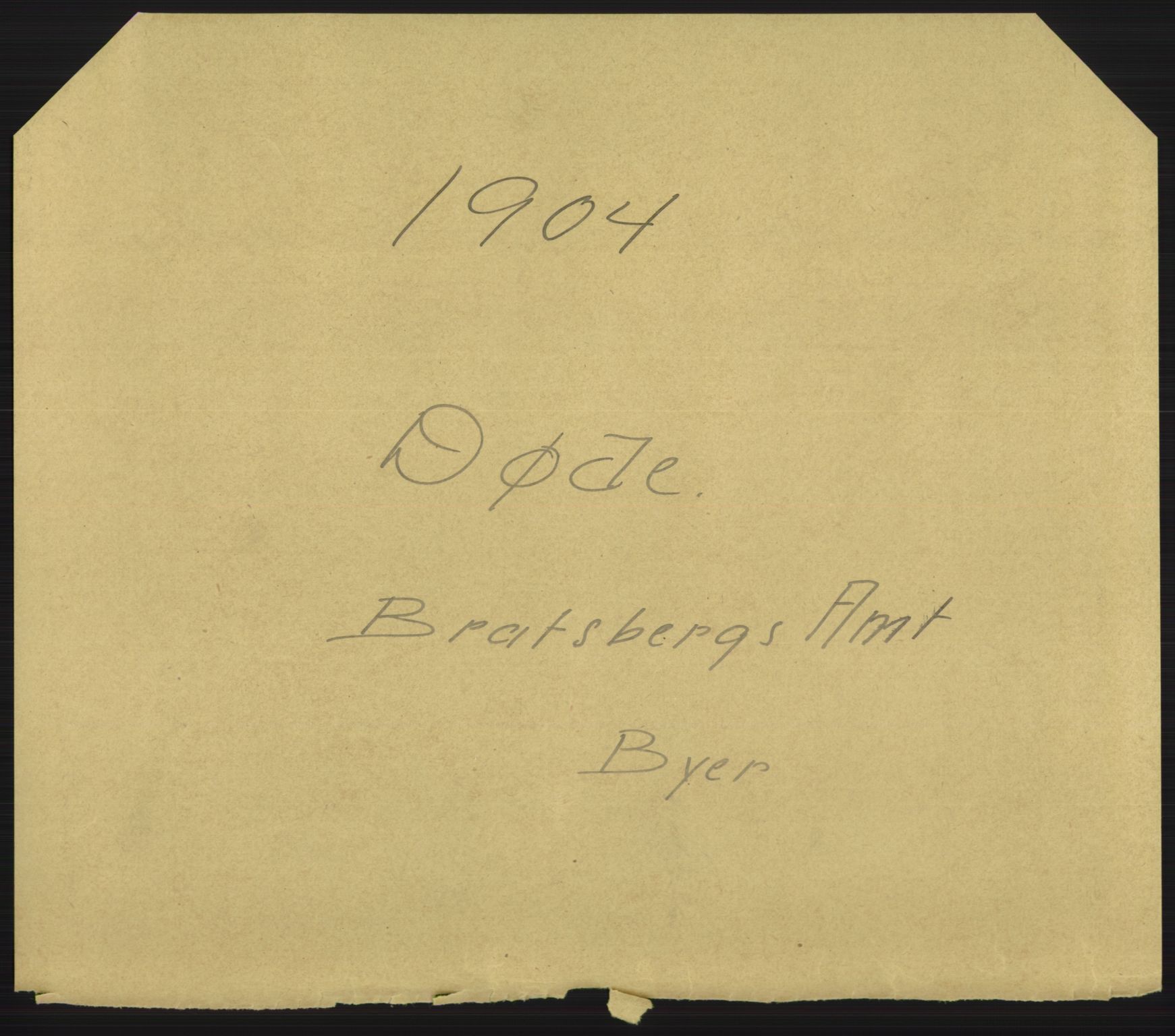 Statistisk sentralbyrå, Sosiodemografiske emner, Befolkning, AV/RA-S-2228/D/Df/Dfa/Dfab/L0009: Bratsberg amt: Fødte, gifte, døde, 1904, p. 749