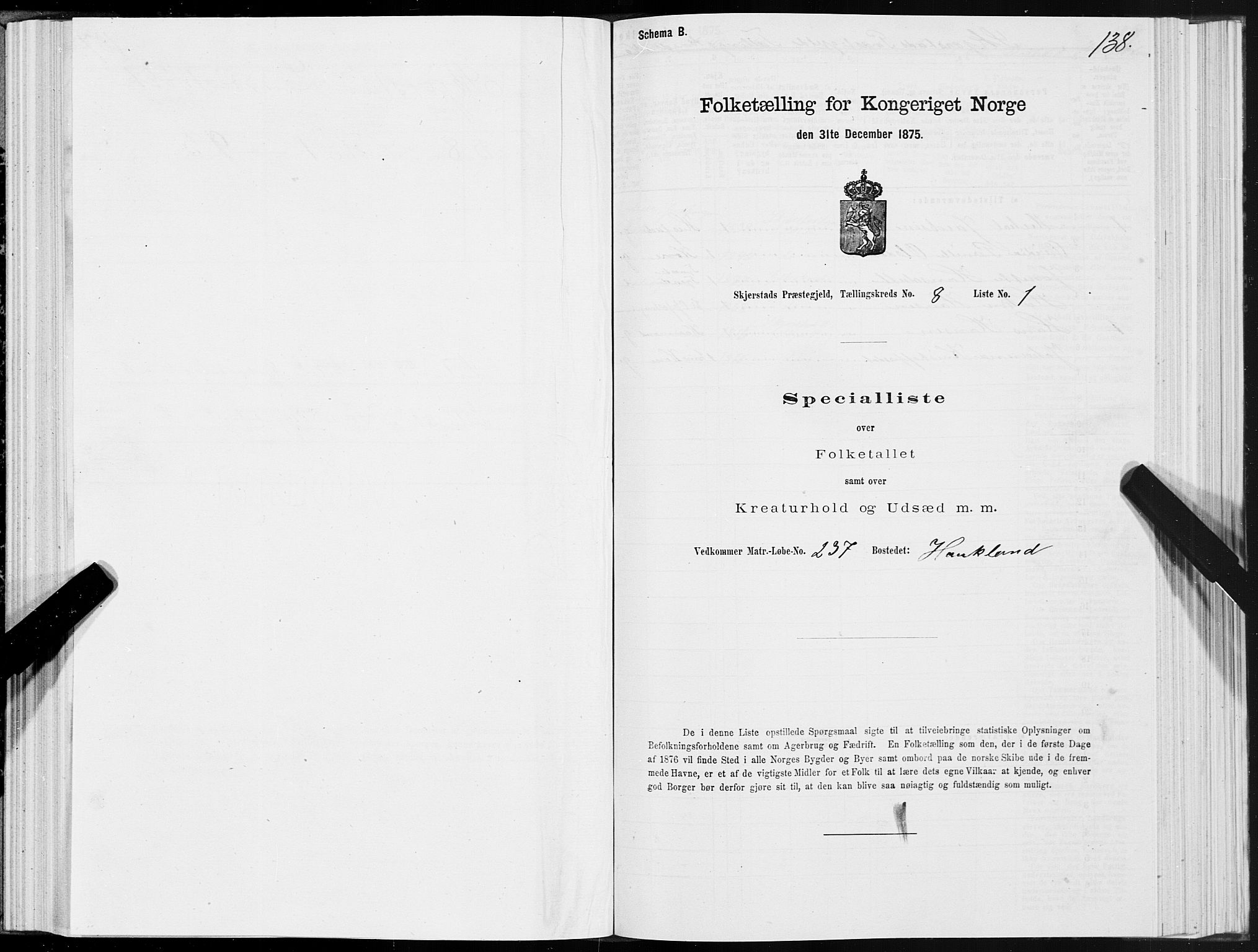 SAT, 1875 census for 1842P Skjerstad, 1875, p. 4138